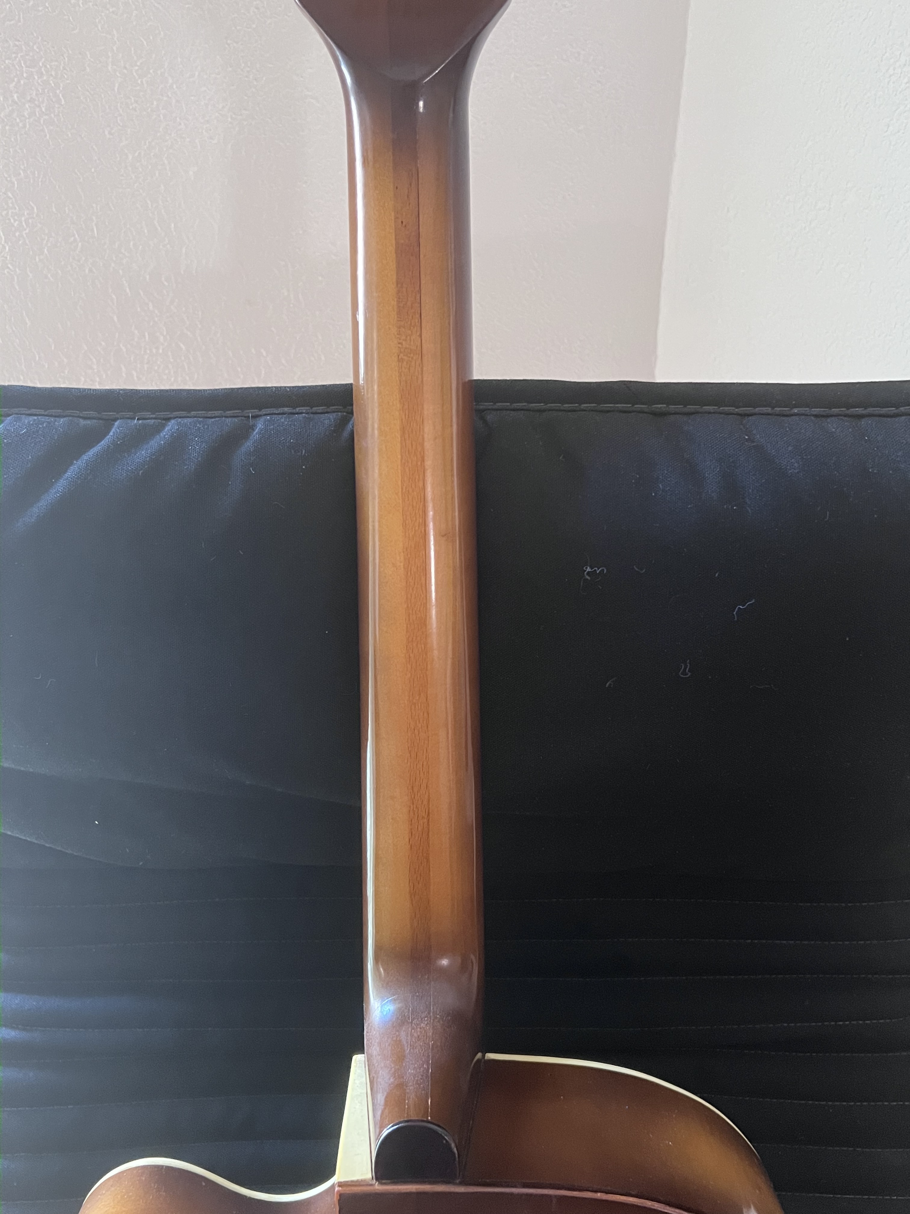Hofner Guitars Model 450 (23868)