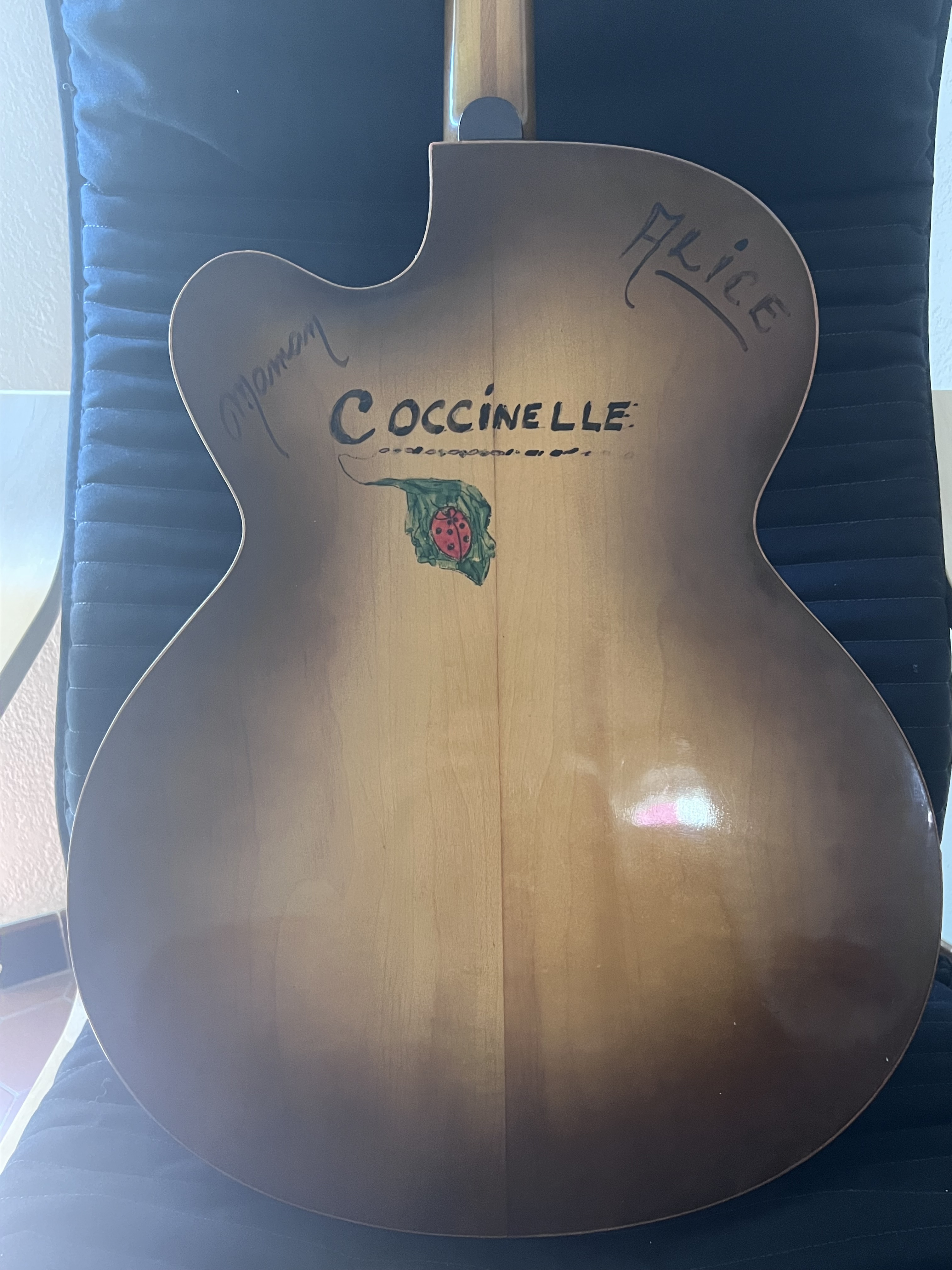 Hofner Guitars Model 450 (25421)