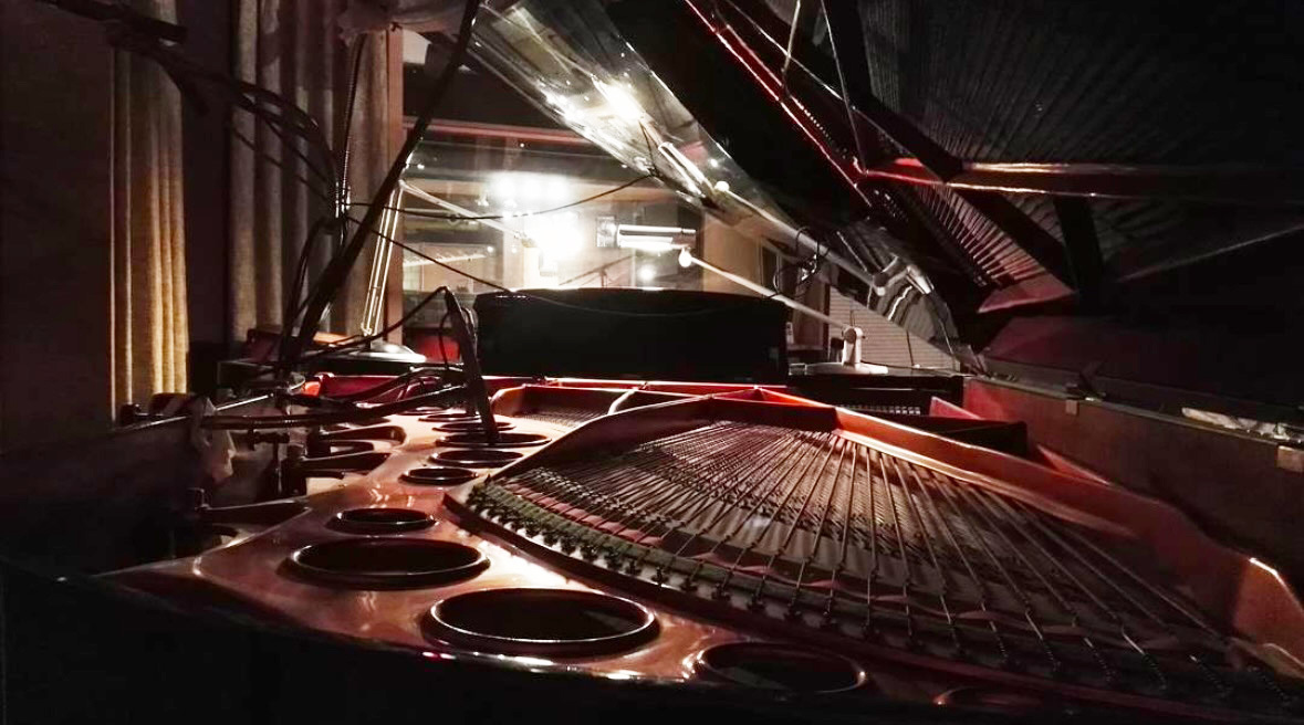 Bosendorfer 2