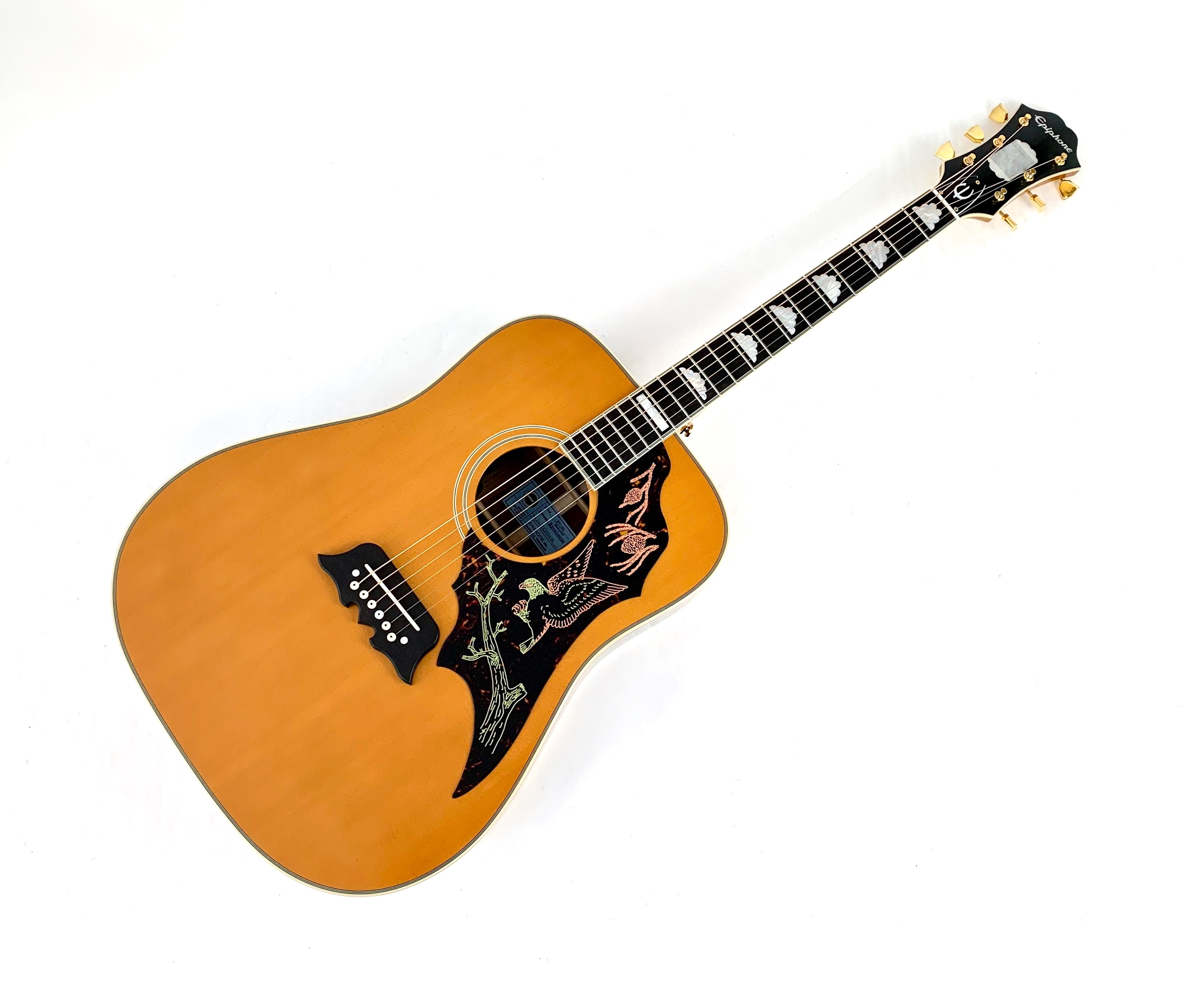 Epiphone FT120 Masterbilt Excellente 2024 Natural