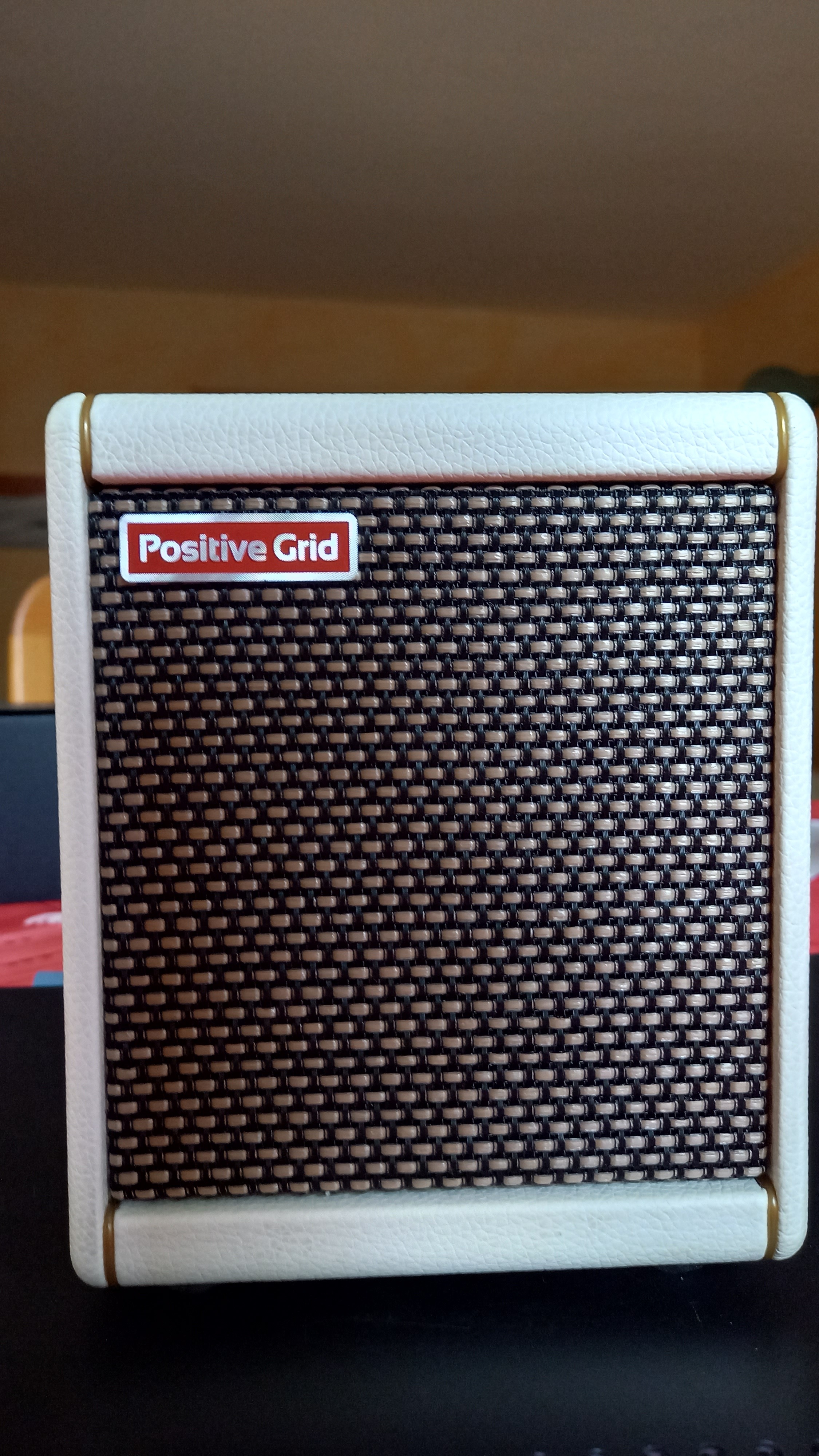 VENDS  POSITIV GRID  SPARK MINI  