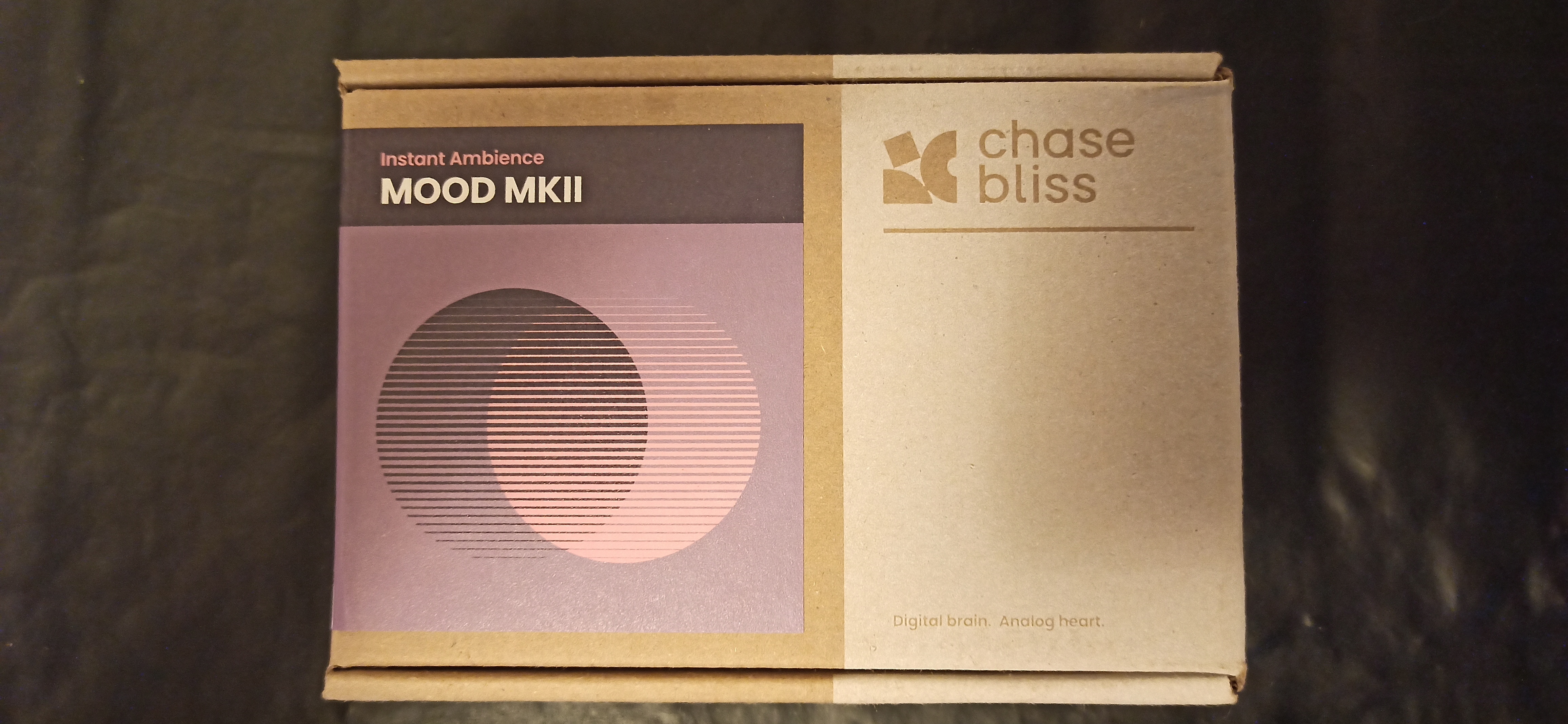 Chase Bliss Audio Mood MKII (9122)