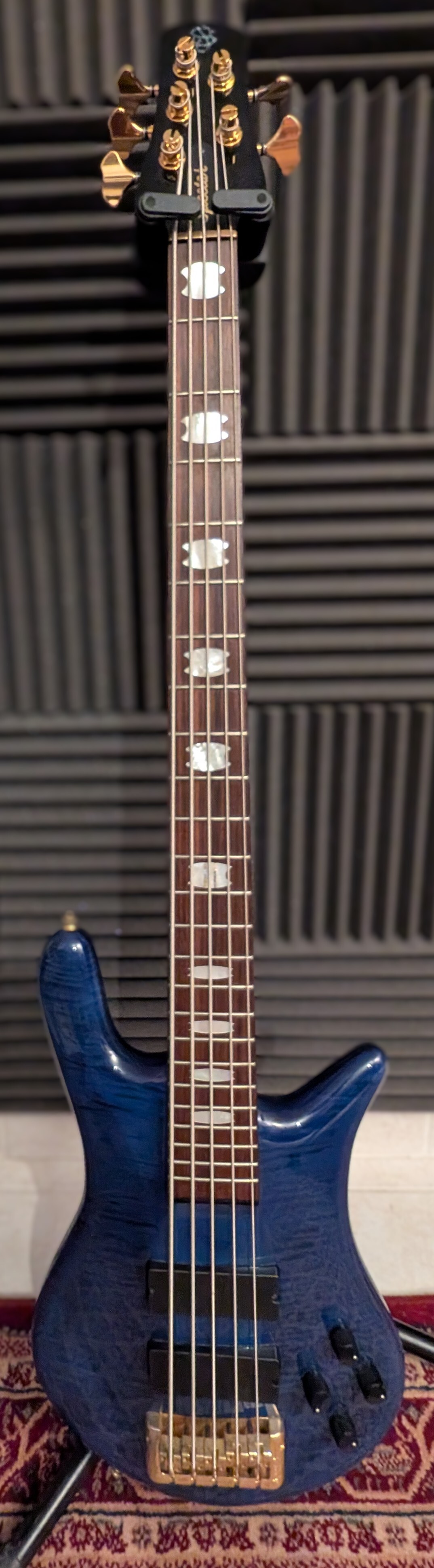 Vend basse Spector Euro 5 LX
