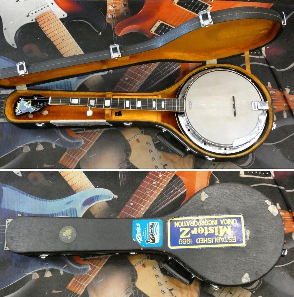 vine-banjo-5-5486919