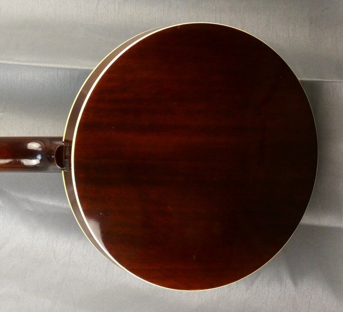vine-banjo-5-5486921