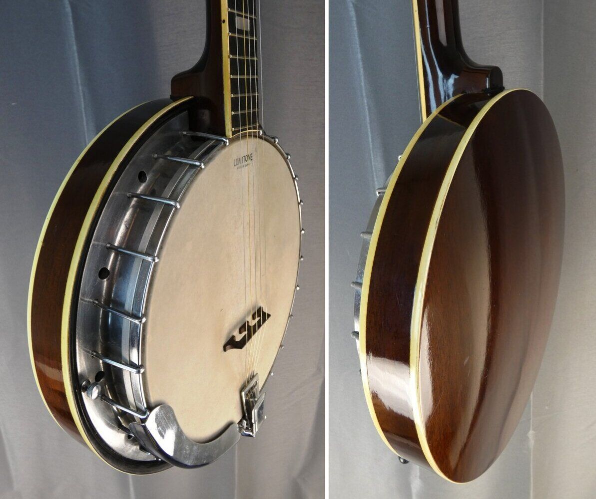 vine-banjo-5-5486922