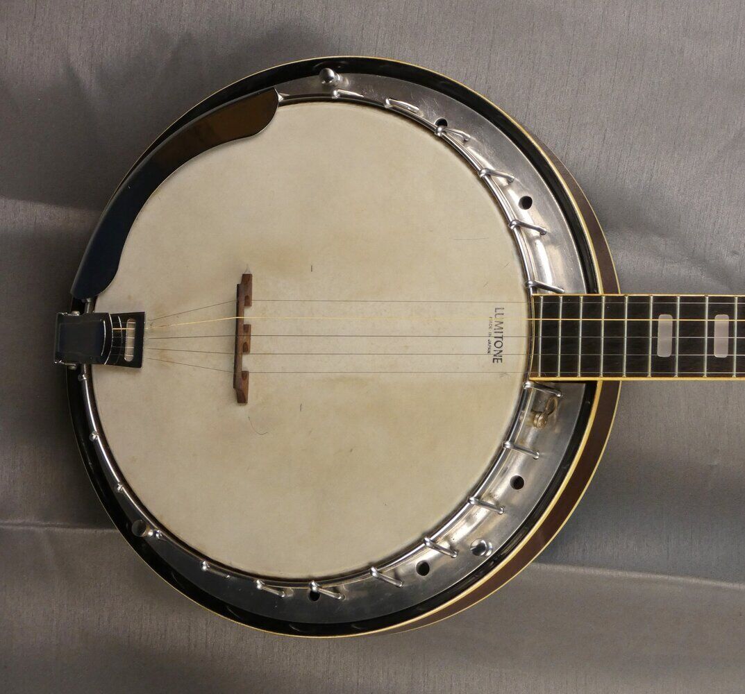 vine-banjo-5-5486925