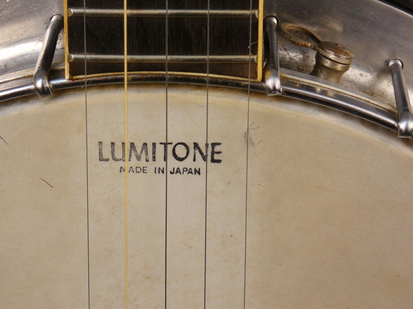 vine-banjo-5-5486926