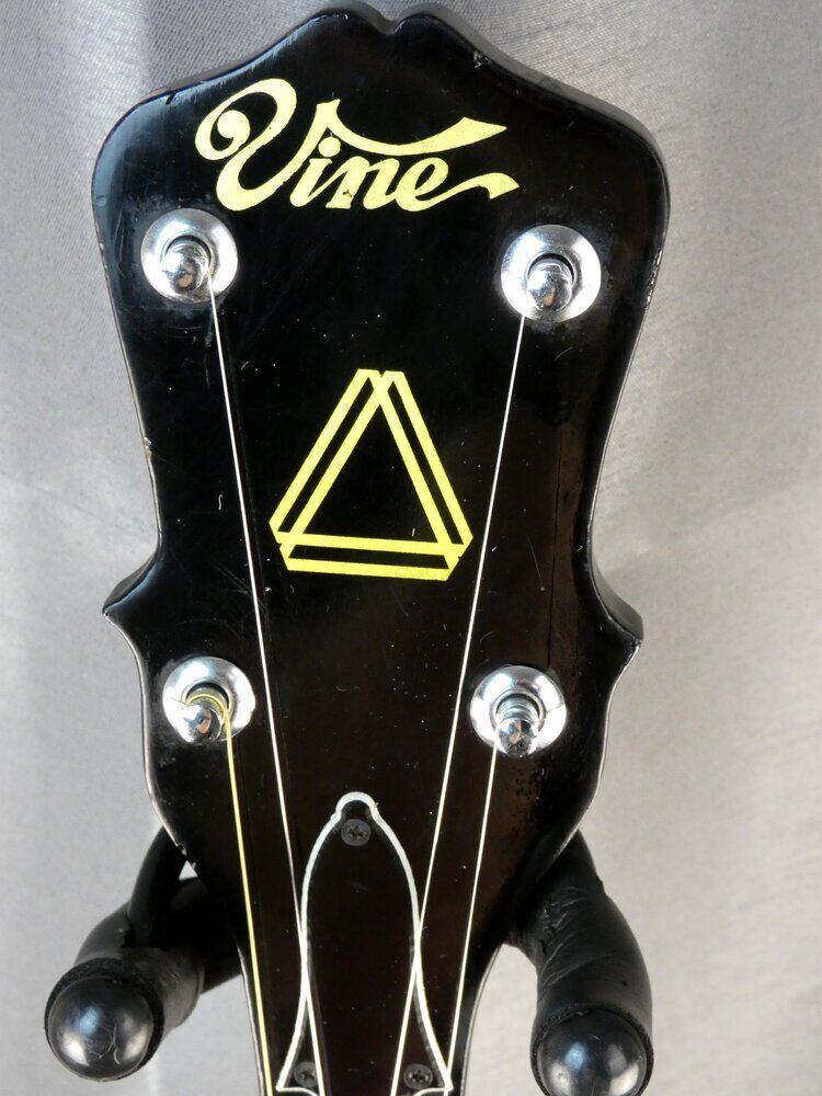 vine-banjo-5-5486927