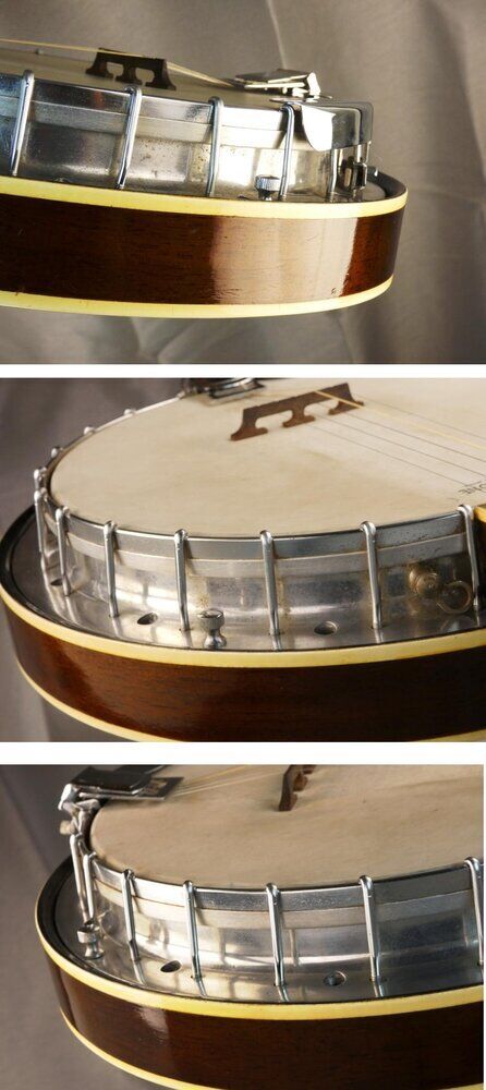 vine-banjo-5-5486928