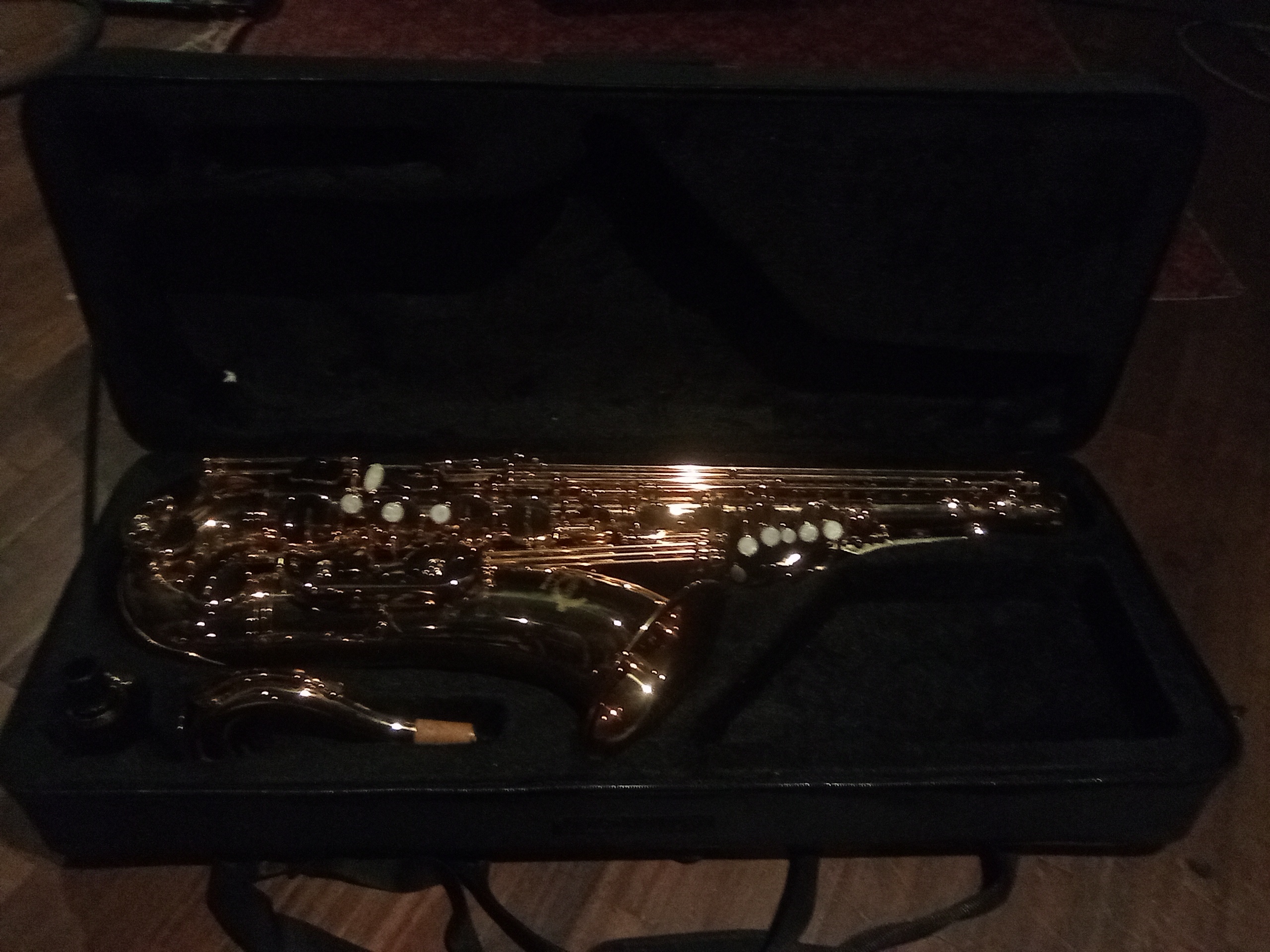 Vend saxophone Tenor WST 100