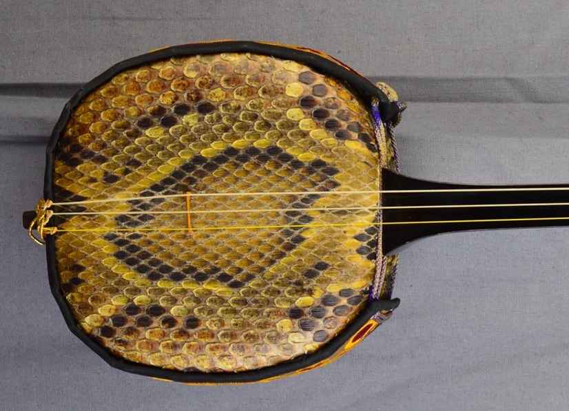 sanshin okinawa snake japon japan (9)