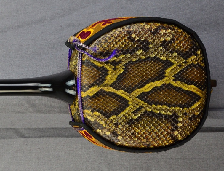sanshin okinawa snake japon japan (12)