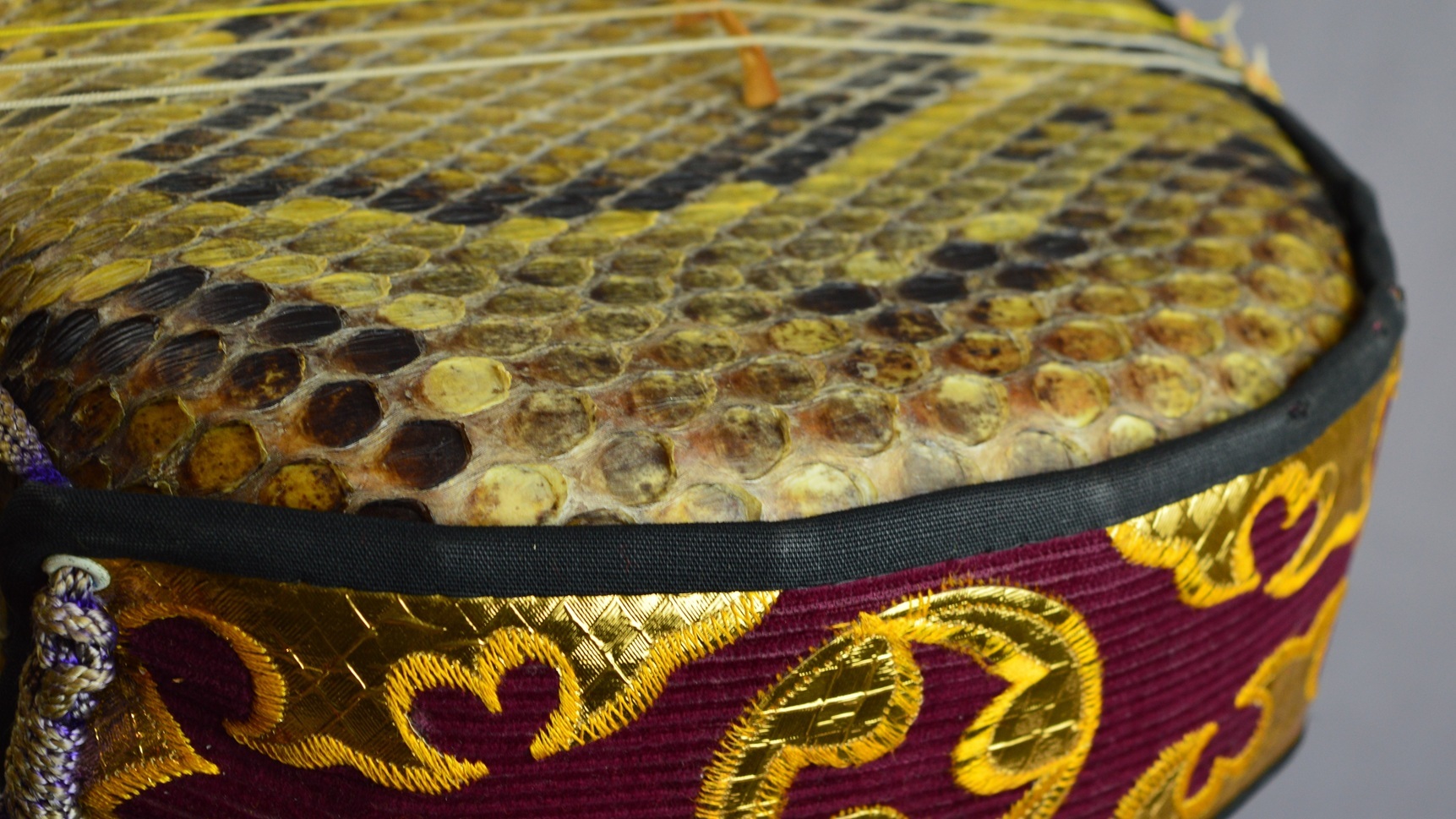 sanshin okinawa snake japon japan (19)