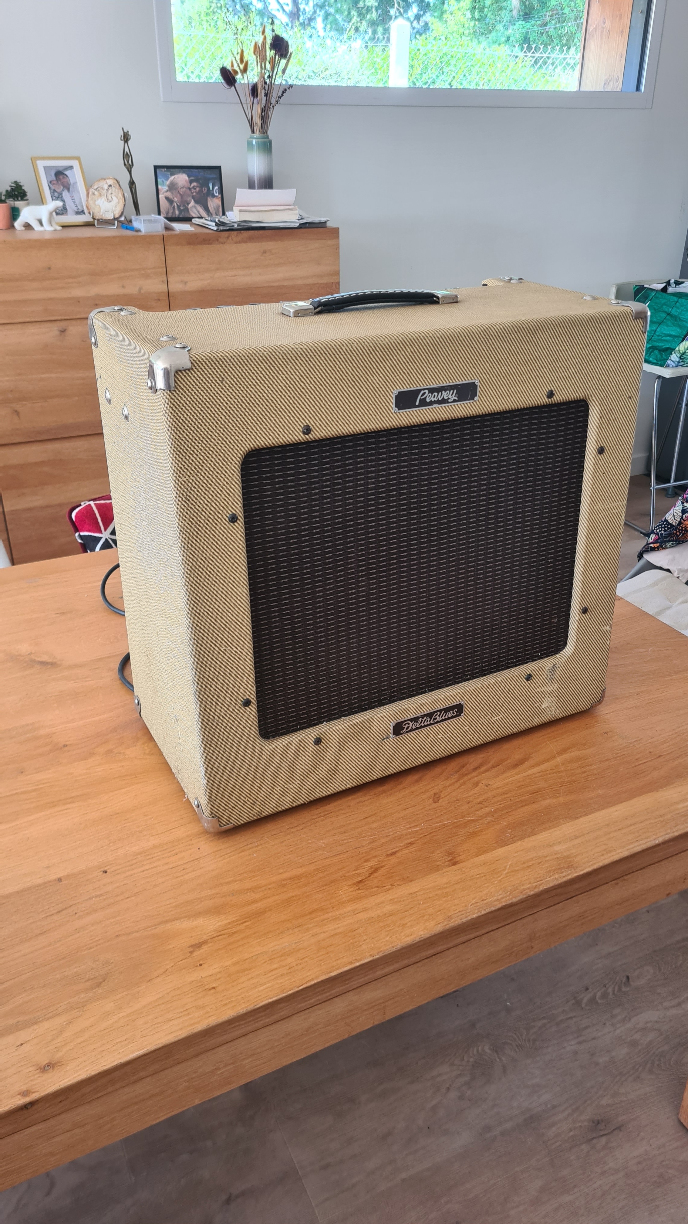 Peavey Delta Blues 3:4 Face