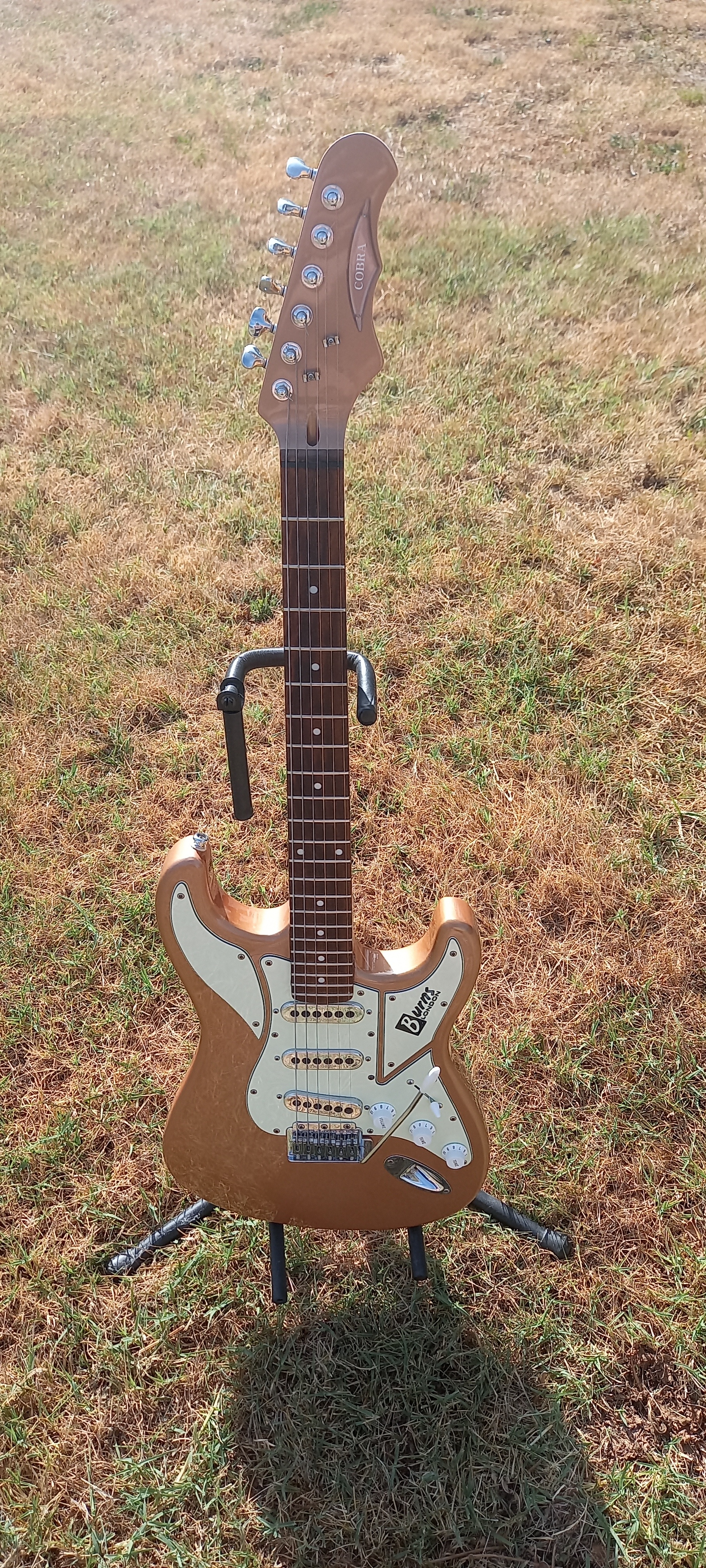 burns cobra