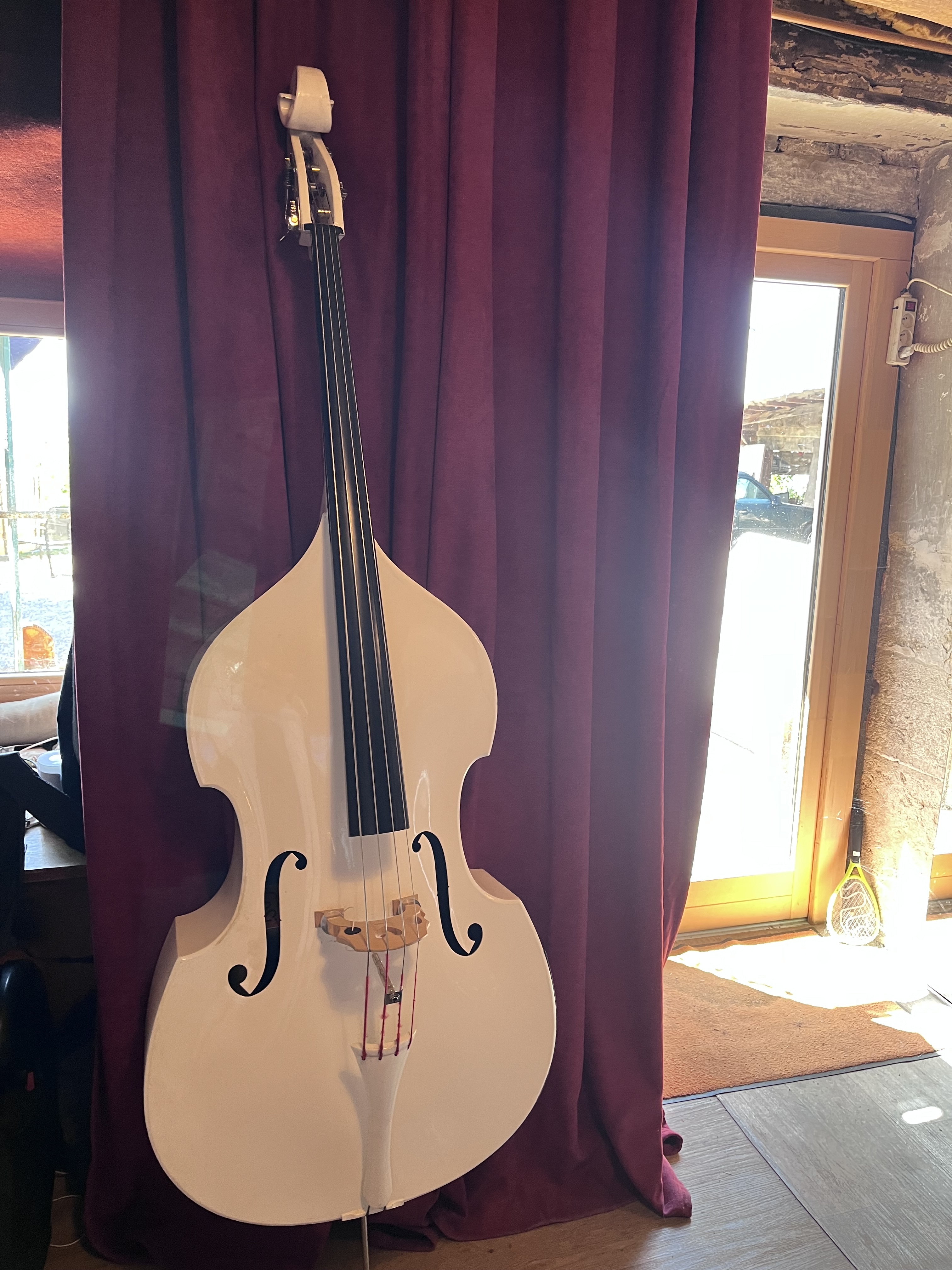 Contrebasse fibre avec cellule Fishman Full Circle