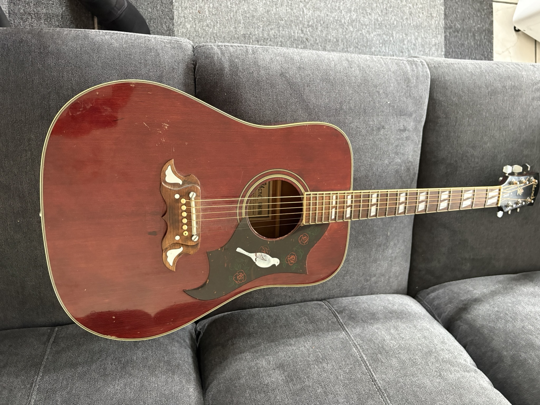 ibanez concord 693CW dove 