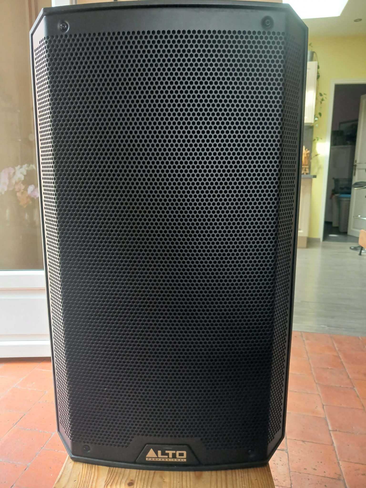 Vends enceinte amplifiée ALTO TS 21 1100 watts