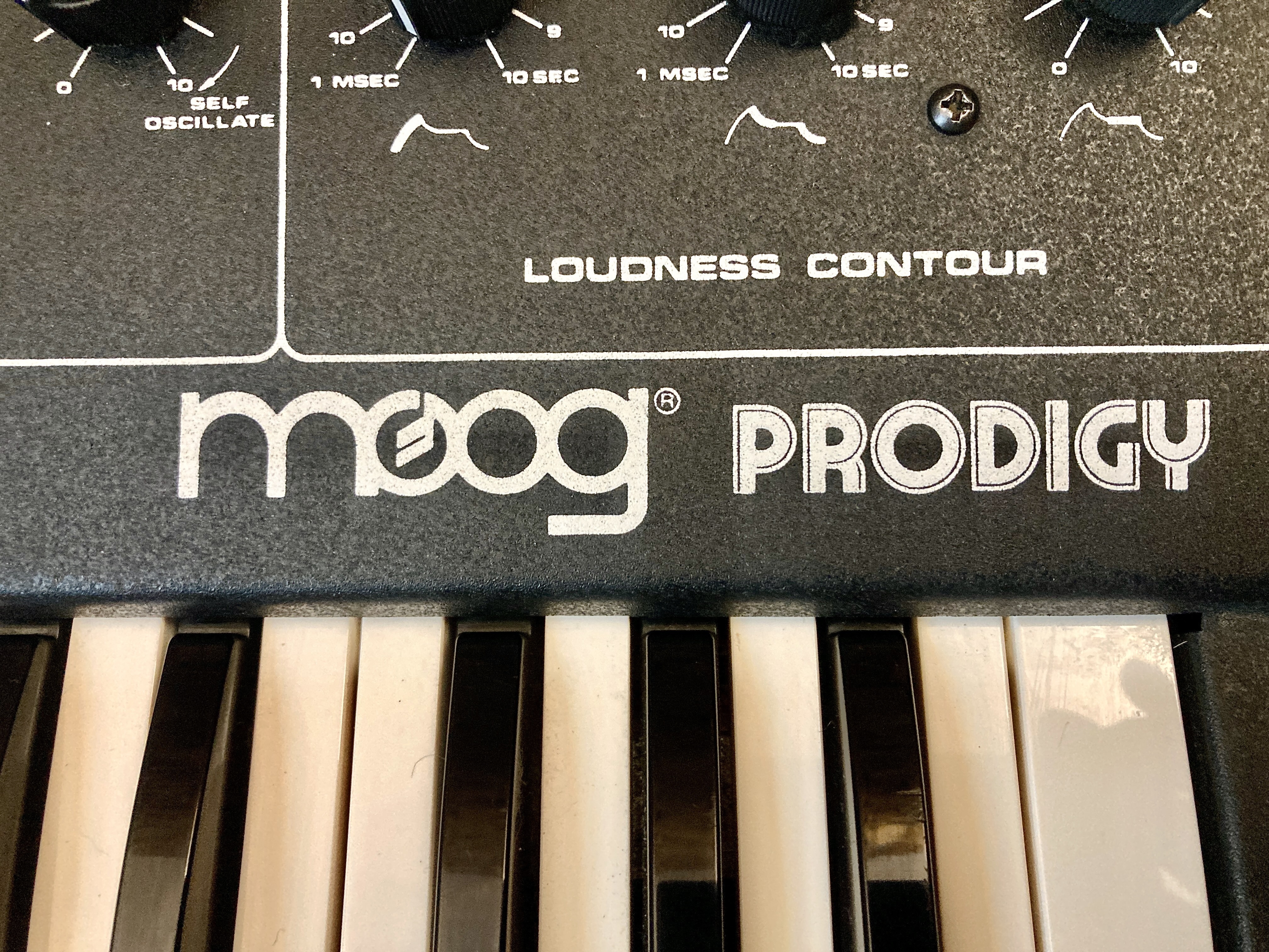 Moog Music Prodigy (86987)