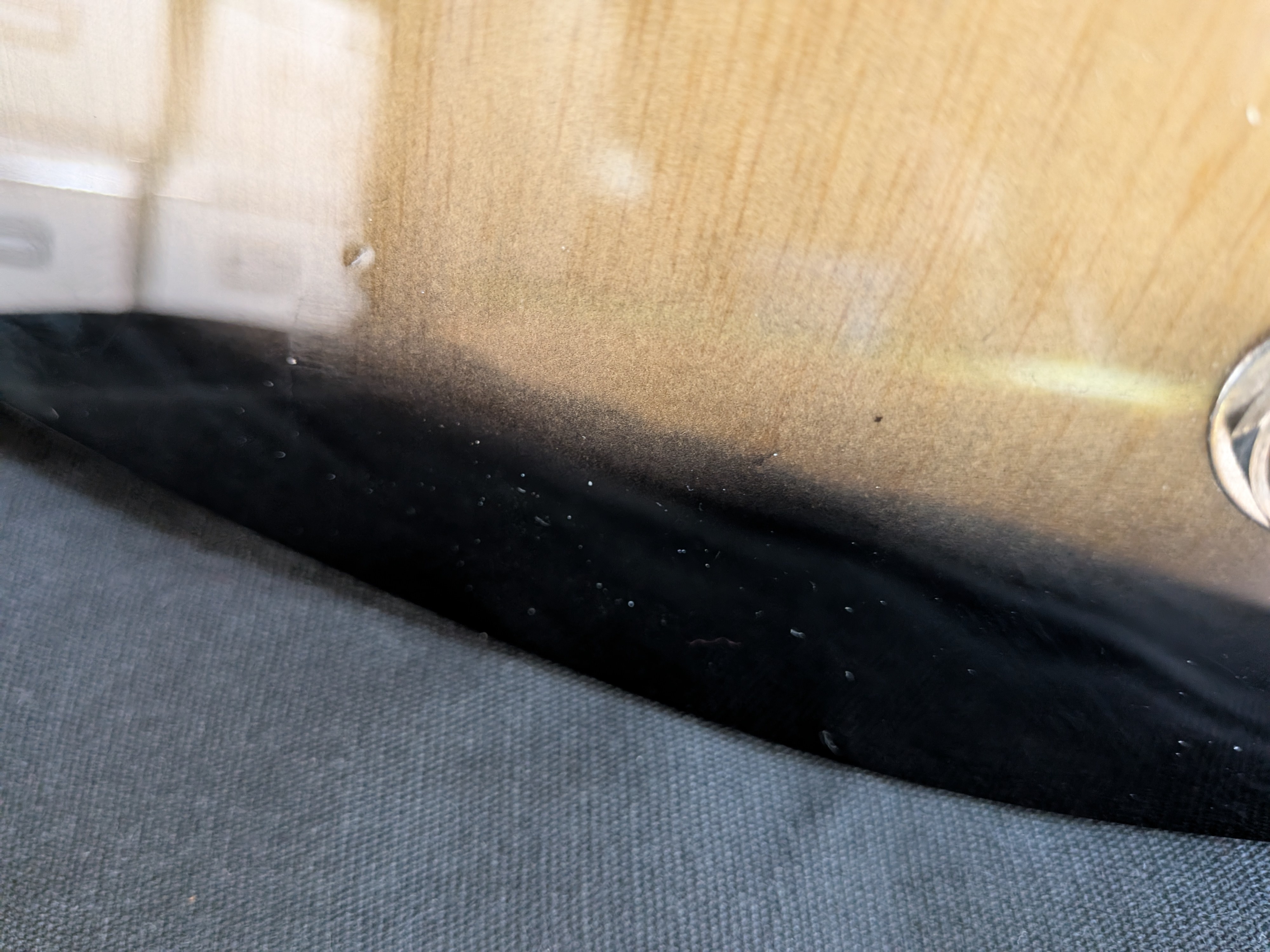 PXL 20260726 115604391.MACRO FOCUS.RAW-01