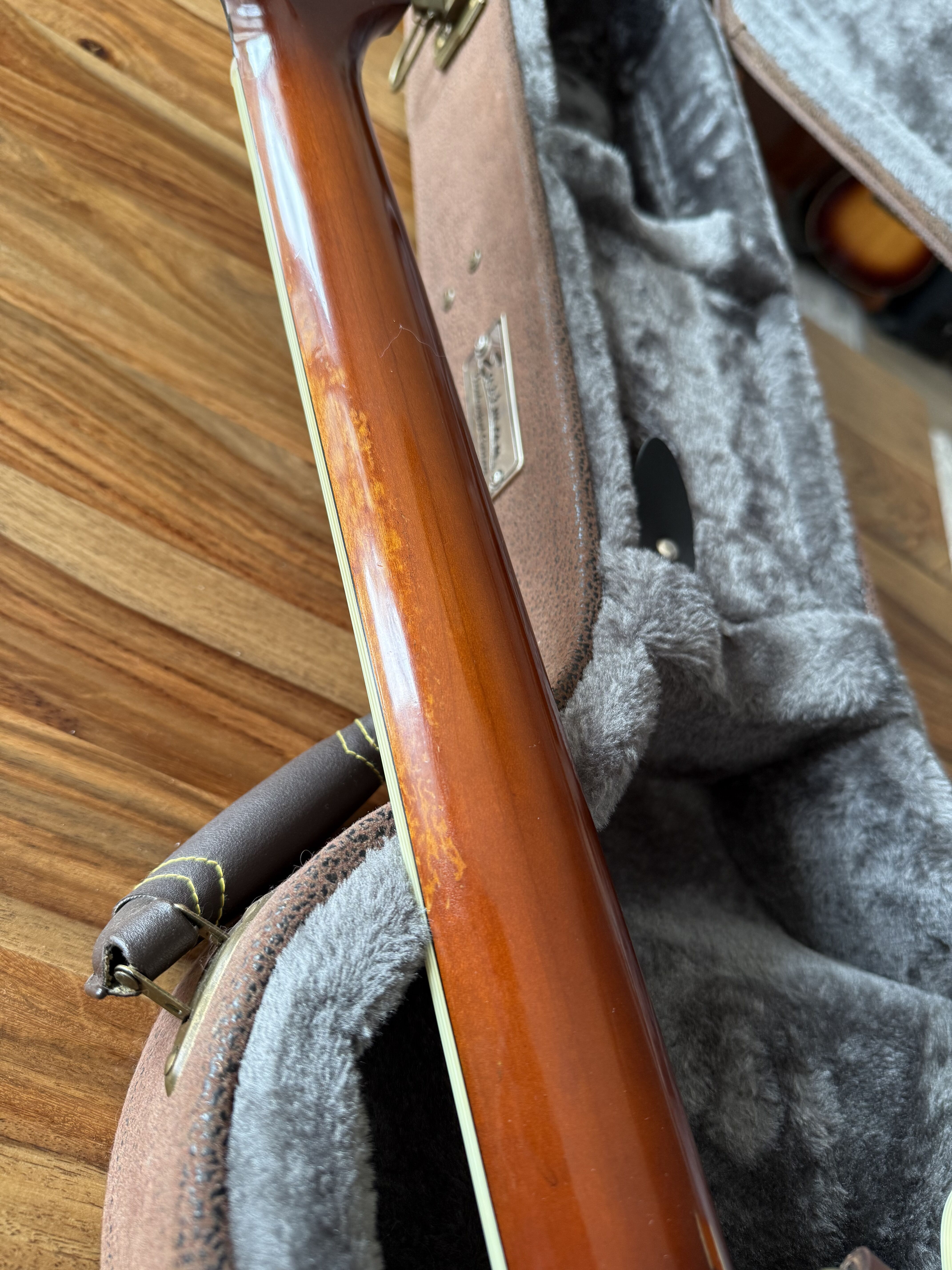 Eastman T64/v (68643)