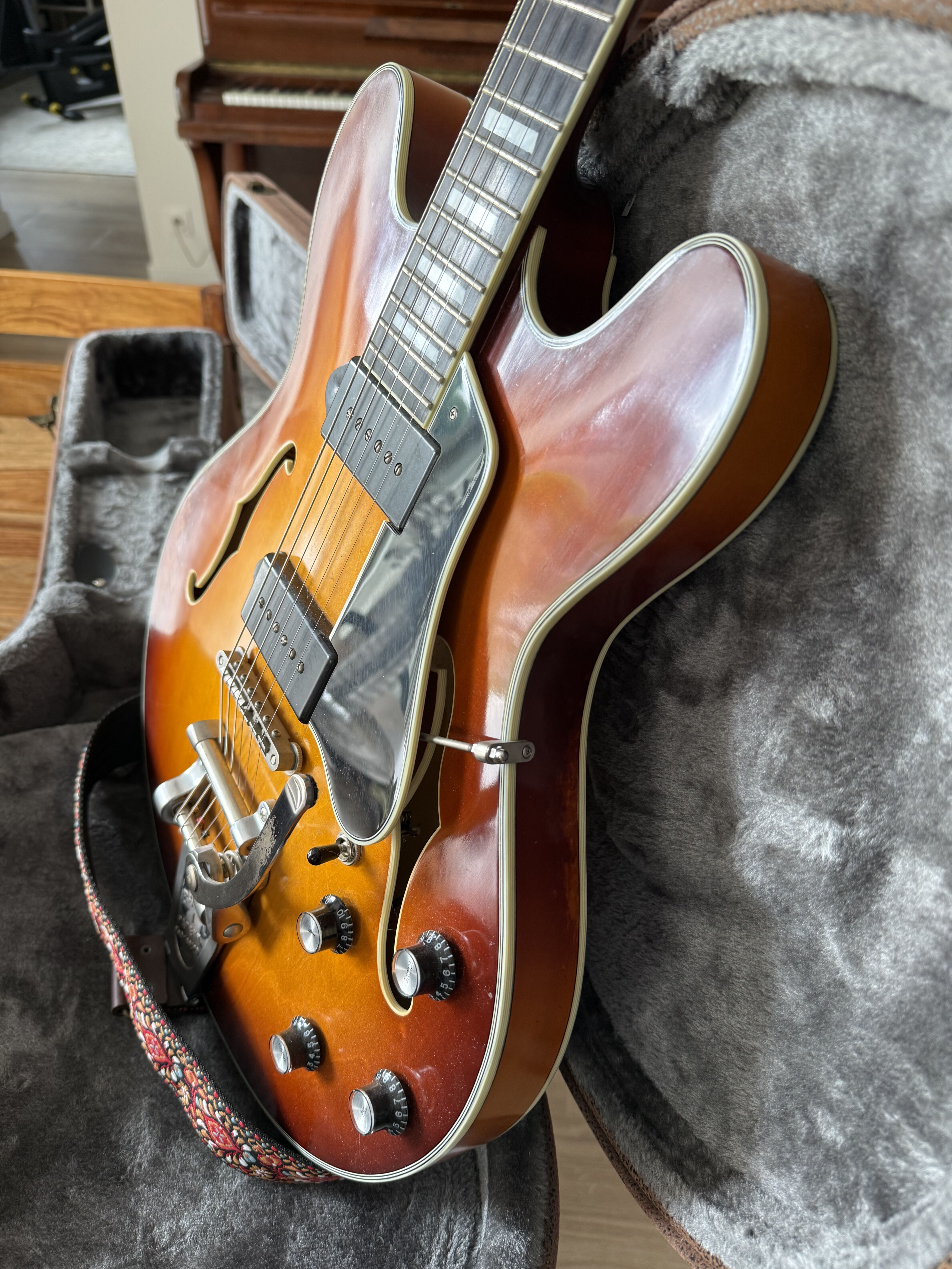 Eastman T64/v (97921)