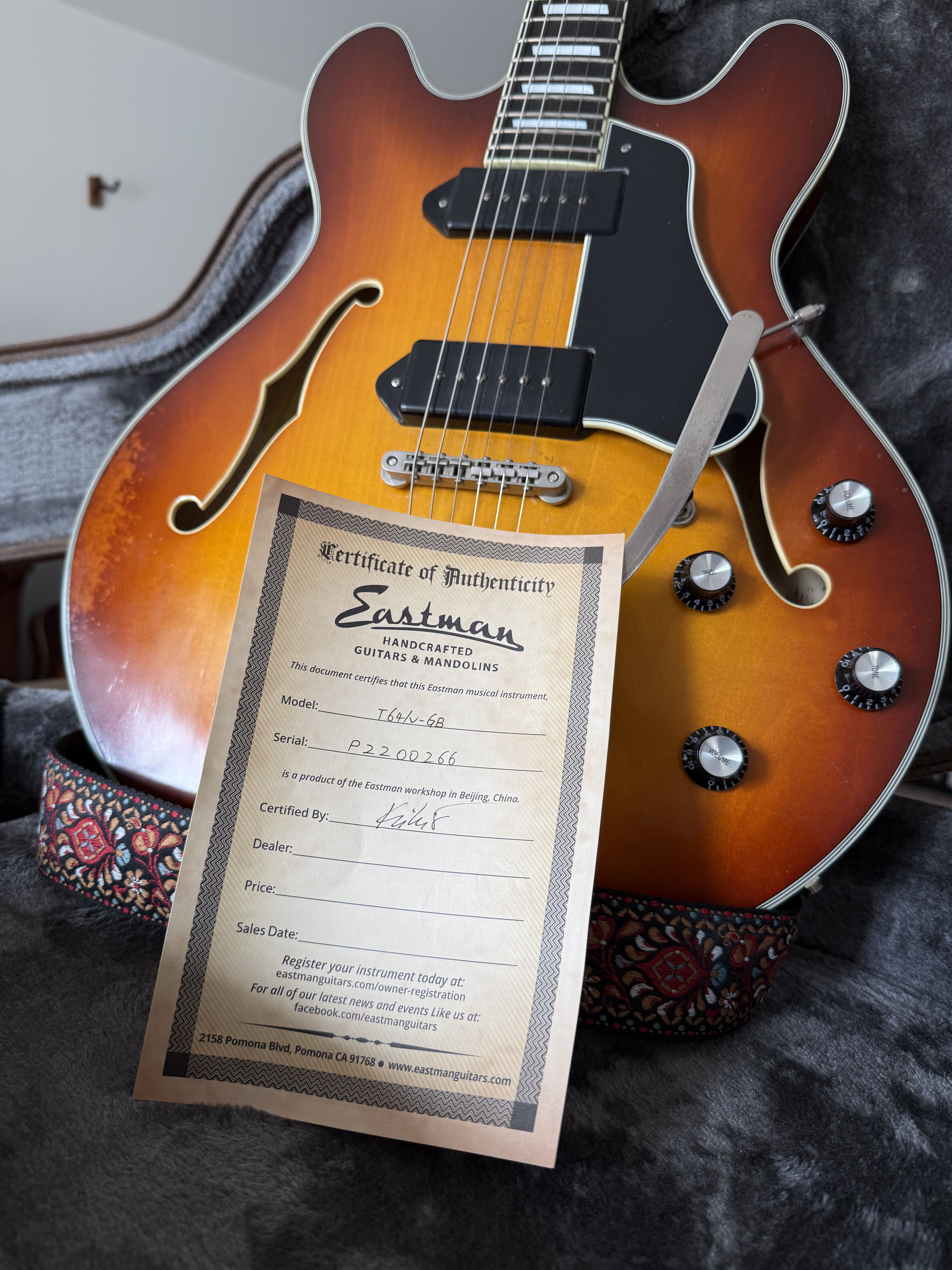 Eastman T64/v (94254)