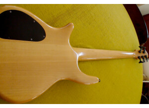 Spector Basse électrique 5 cordes Stuart Spector NS-95