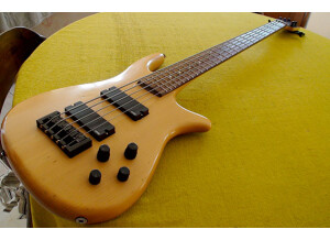 Spector Basse électrique 5 cordes Stuart Spector NS-95