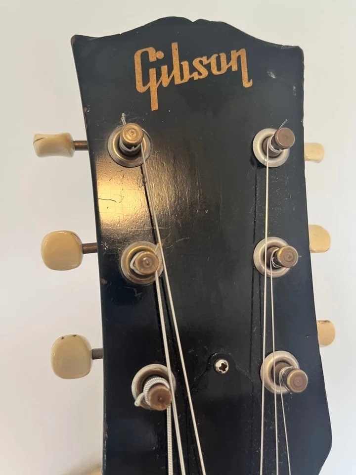 gibsoni