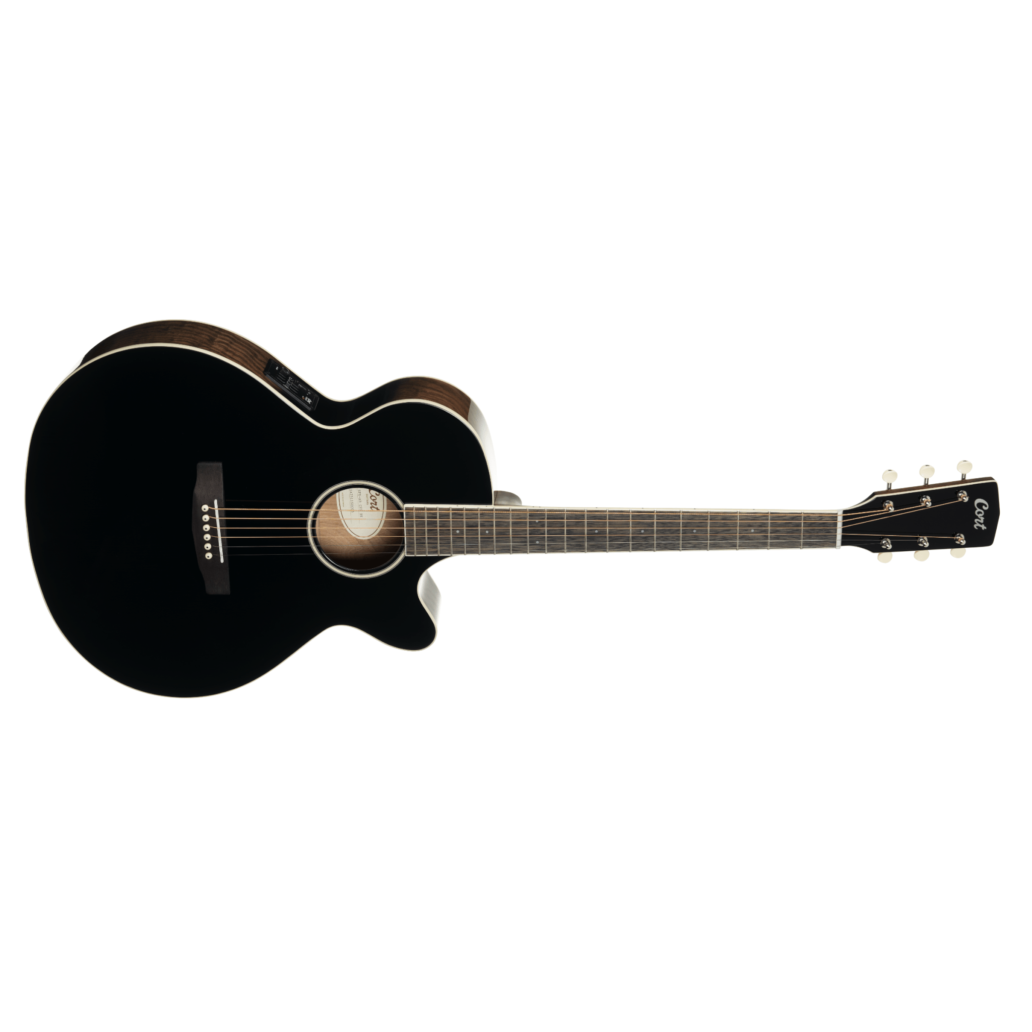 Cort Exotic-SFX Ash : Exotic-SFX Ash