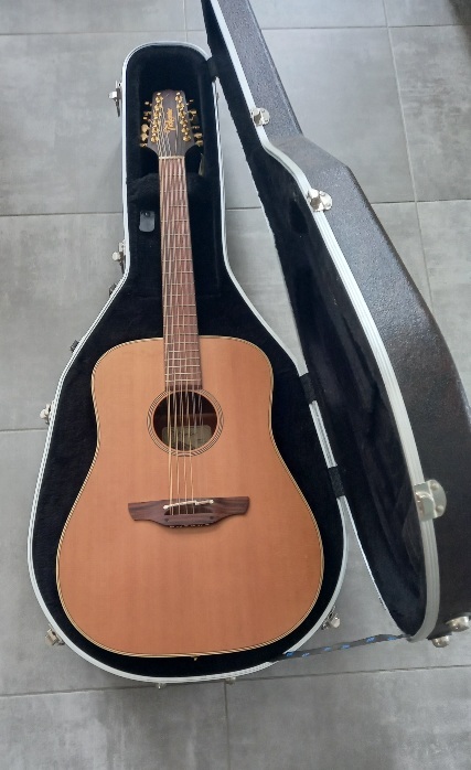 Guitare électro-acoustique 12 cordes Takamine  TAN 10-12 