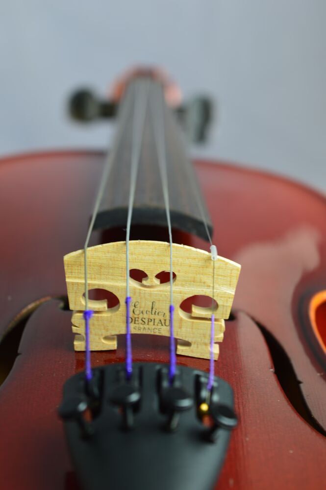 suzuki-violon-3-5147894