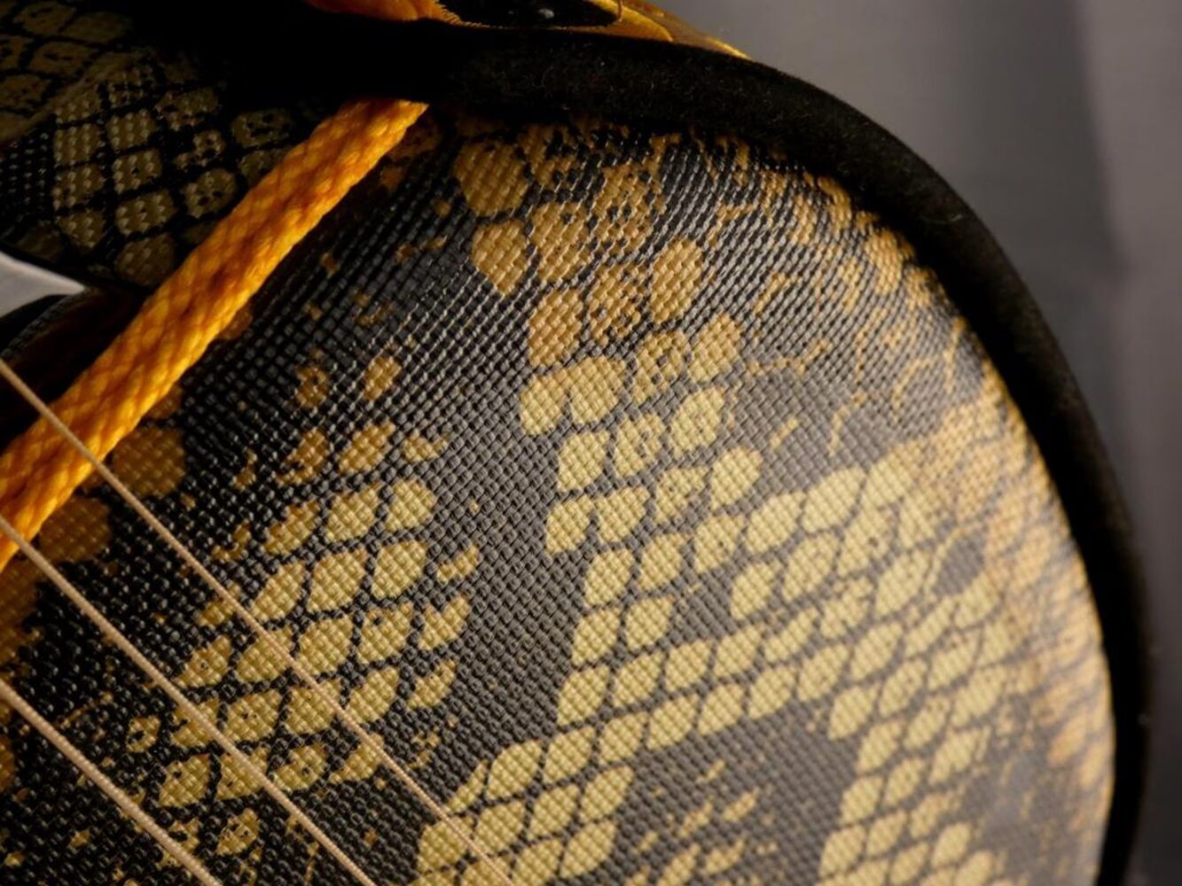 sanshin-traditional-okinawa-5277200