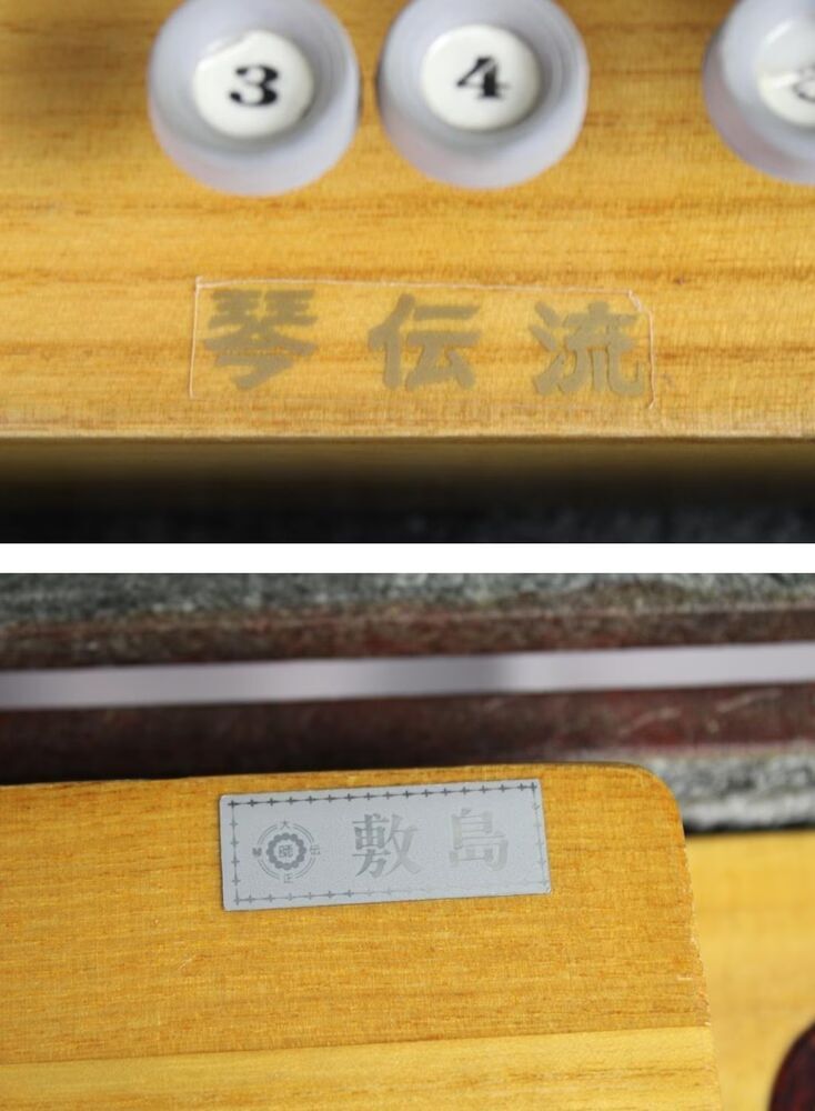 taishogoto-soprano-electro-4890223