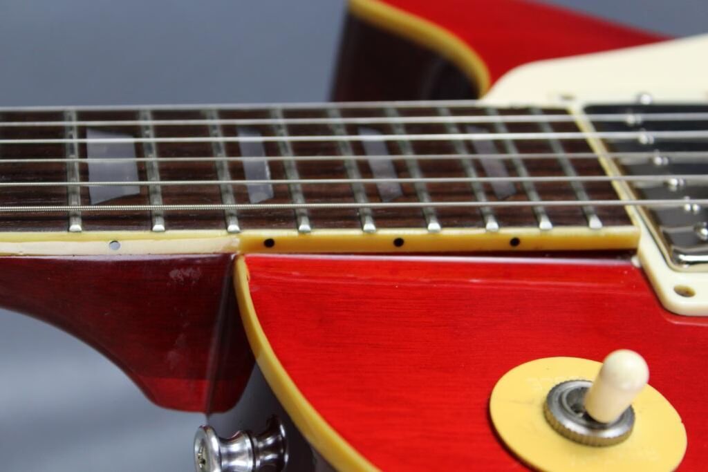 camel-les-paul-3894402