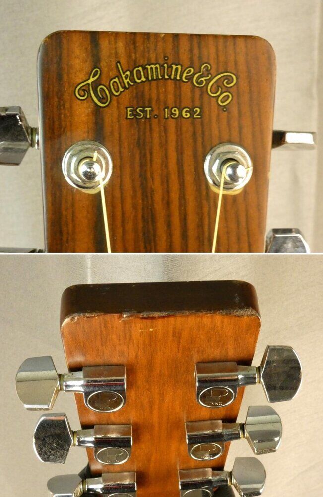 takamine-dreadnought-f-5415458