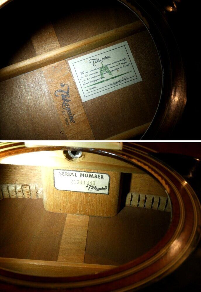 takamine-dreadnought-f-5415465