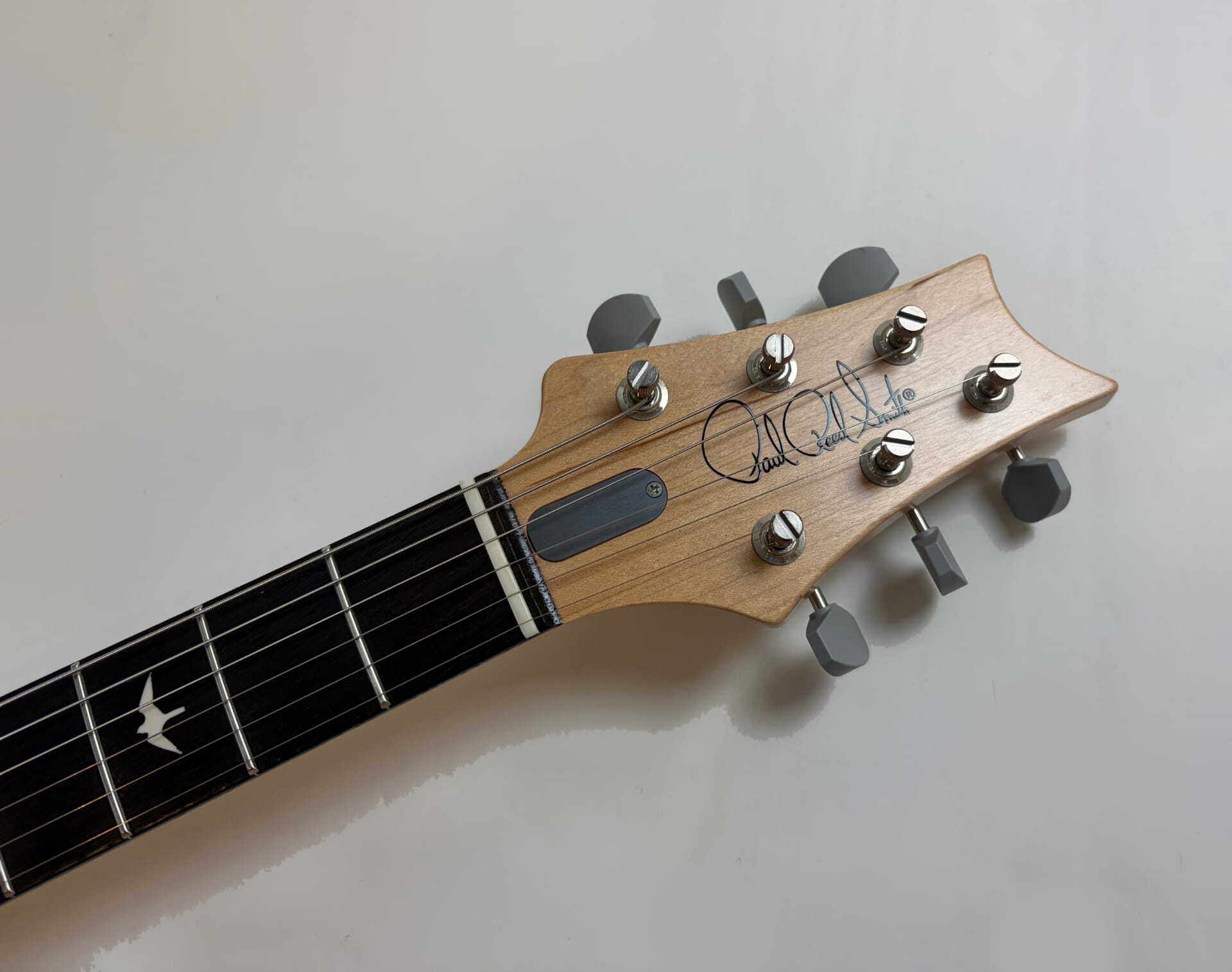 PRS Silver Sky Rosewood (46078)