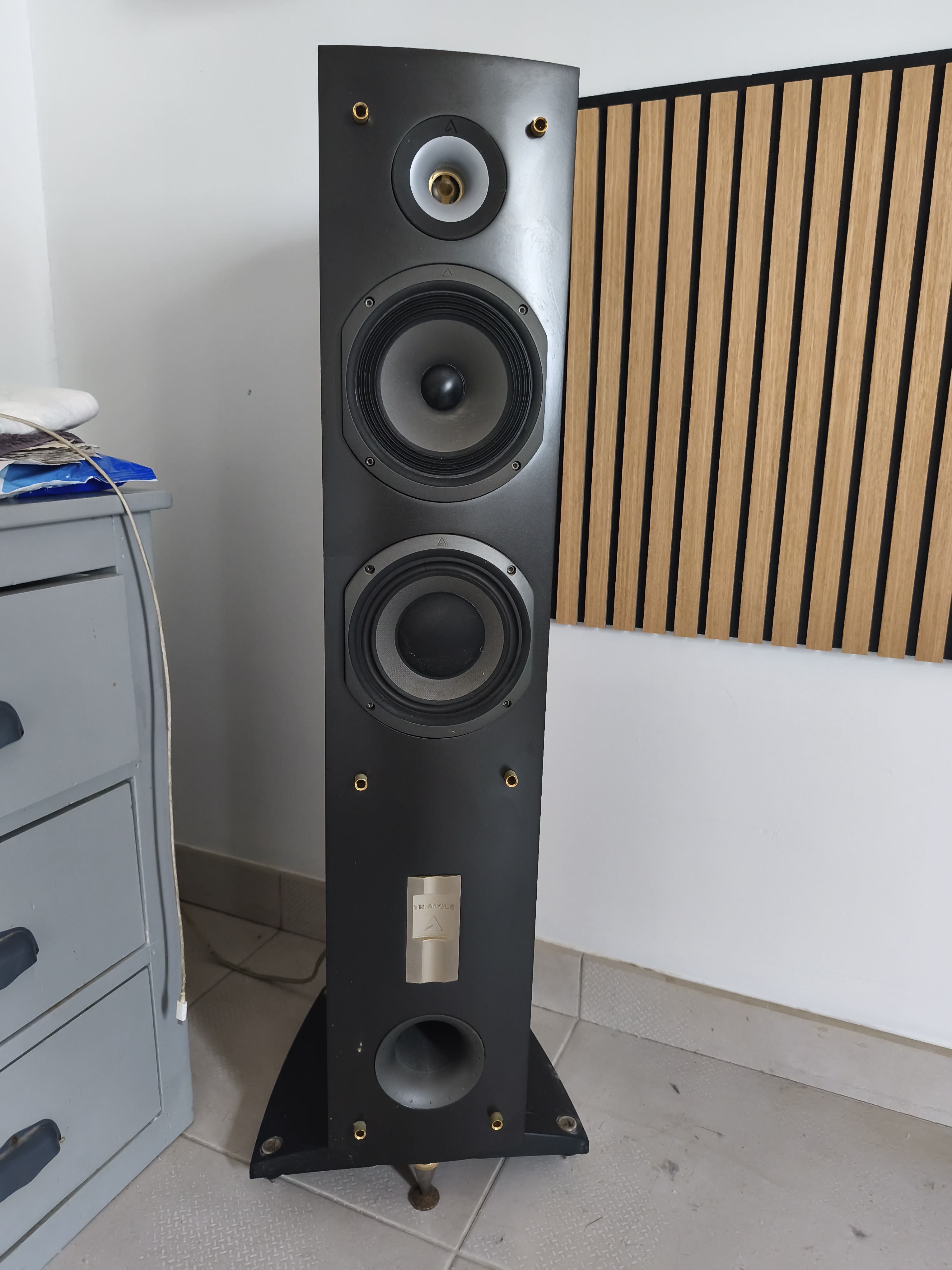 Vends 2 enceintes triangle Altéa ex 100w 