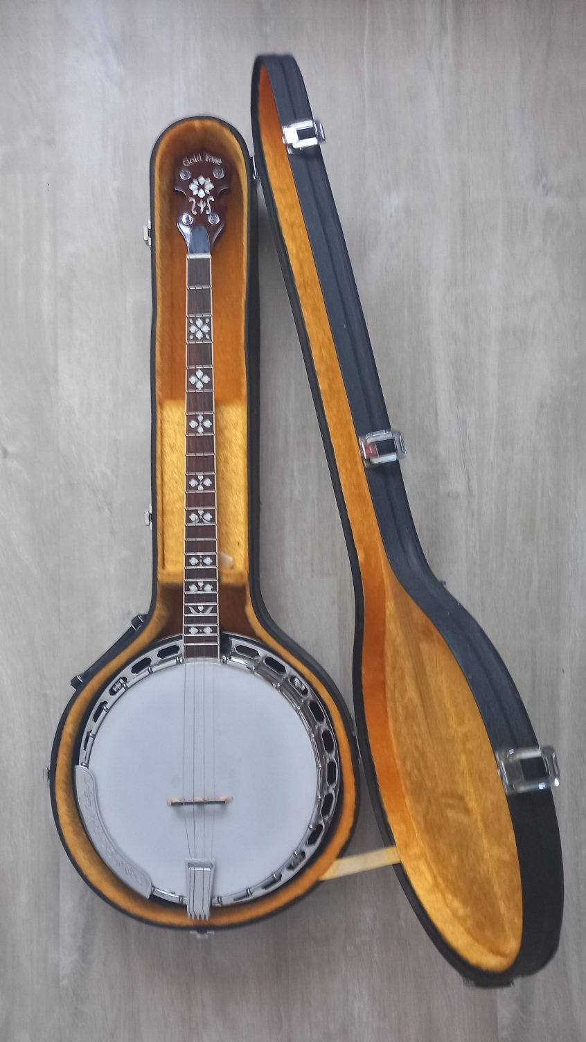 Vends banjo ténor Gold Tone PS 250