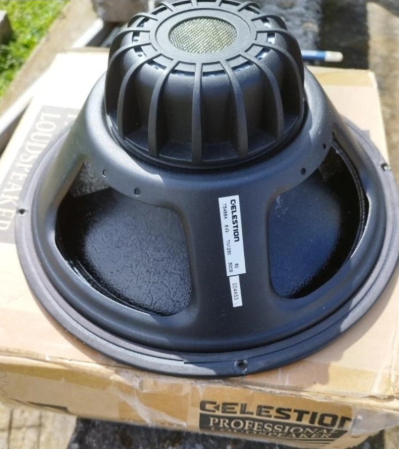 Celestion 12 TN1230 