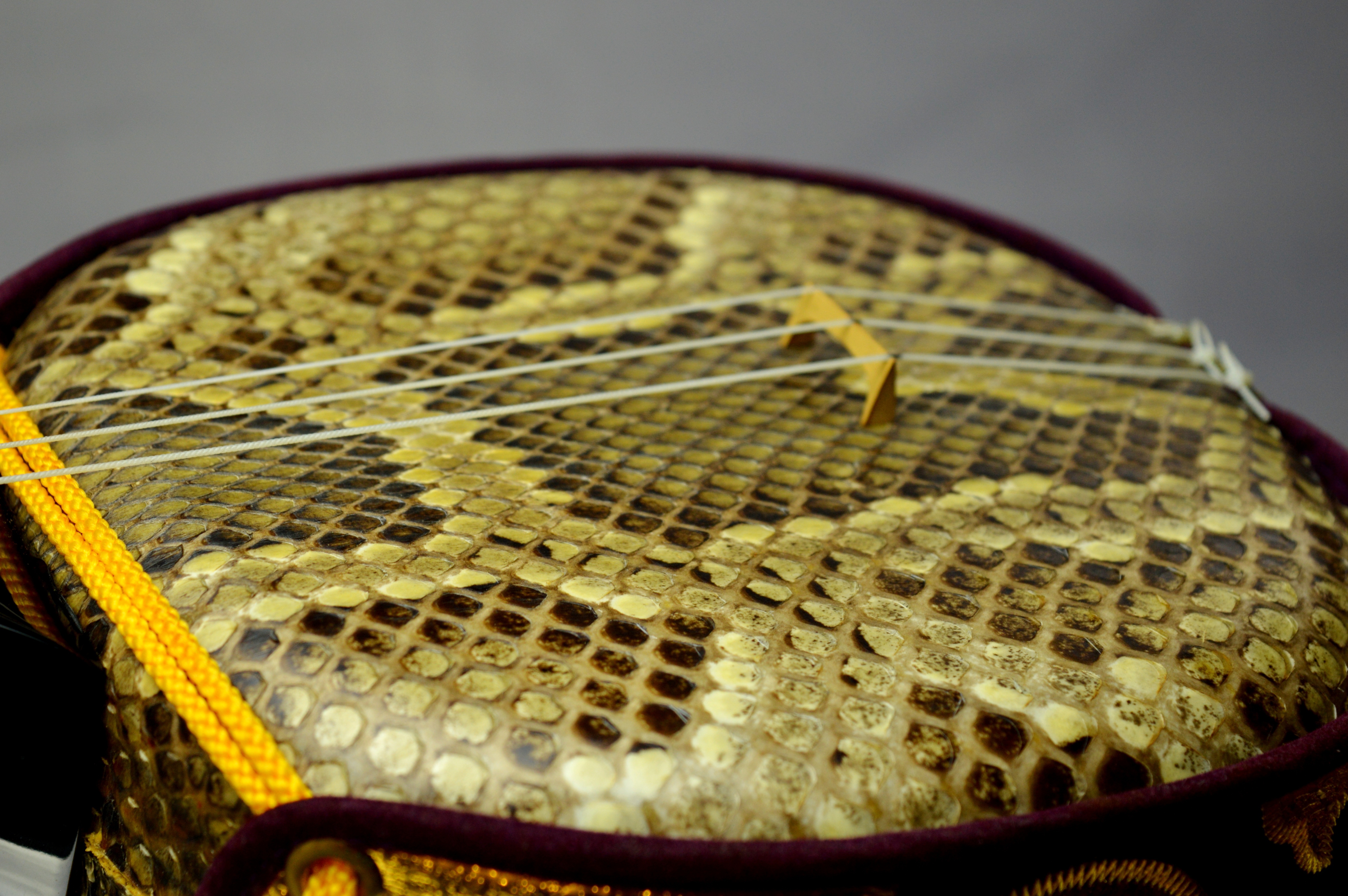 449€ sanshin okinawa japon japan (1)