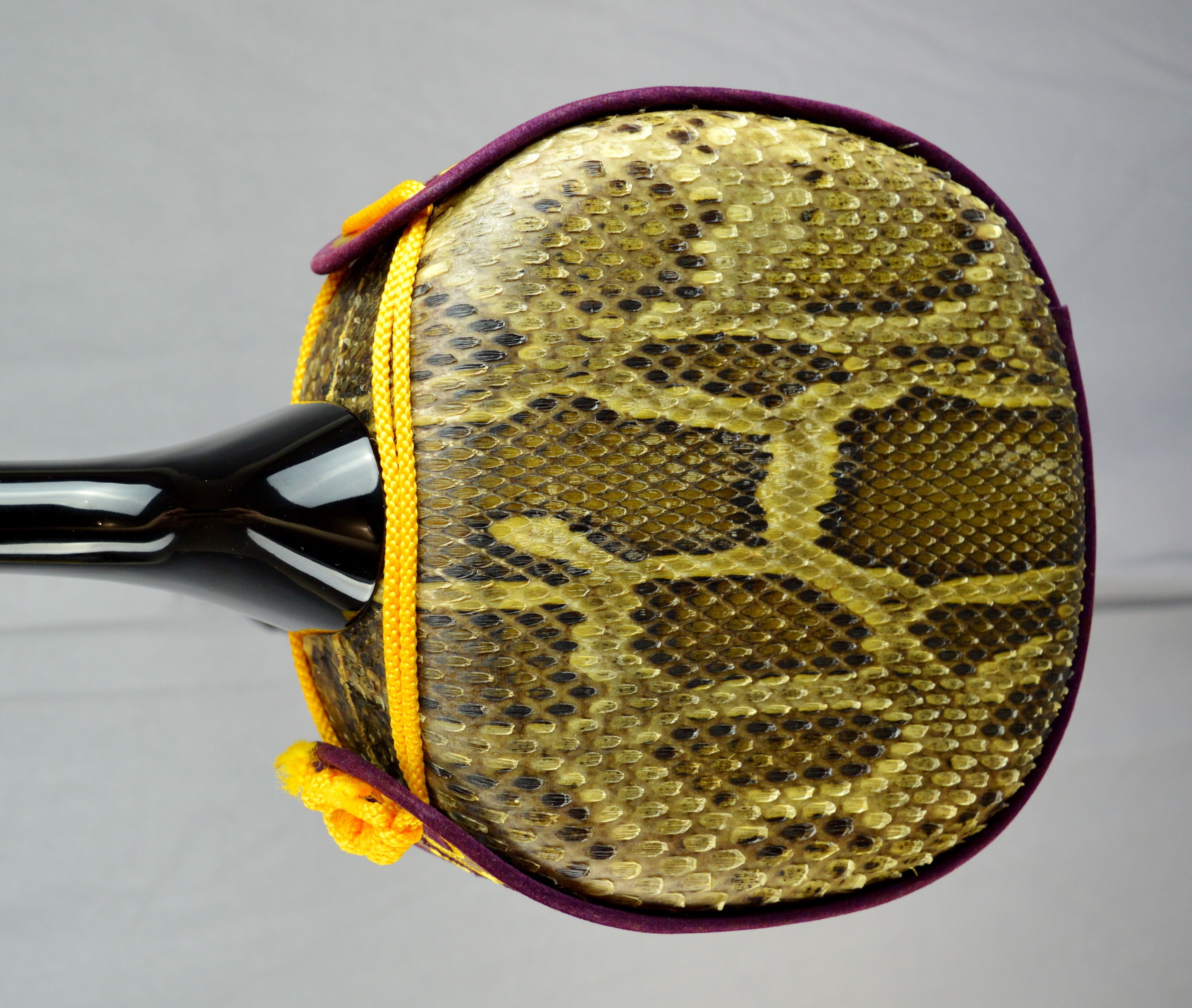 449€ sanshin okinawa japon japan (6)