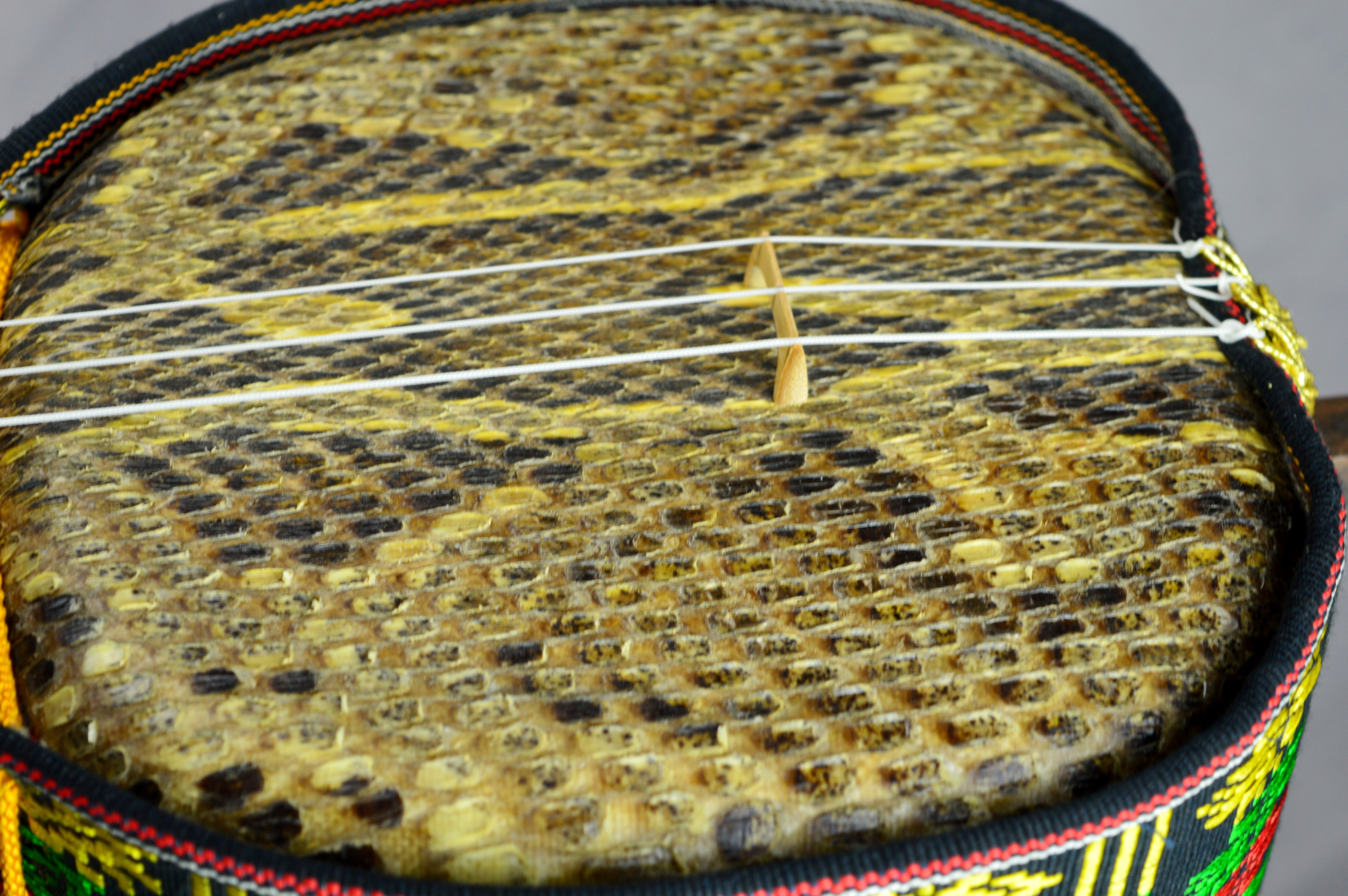 448€ sanshin okinawa japon japan (8)