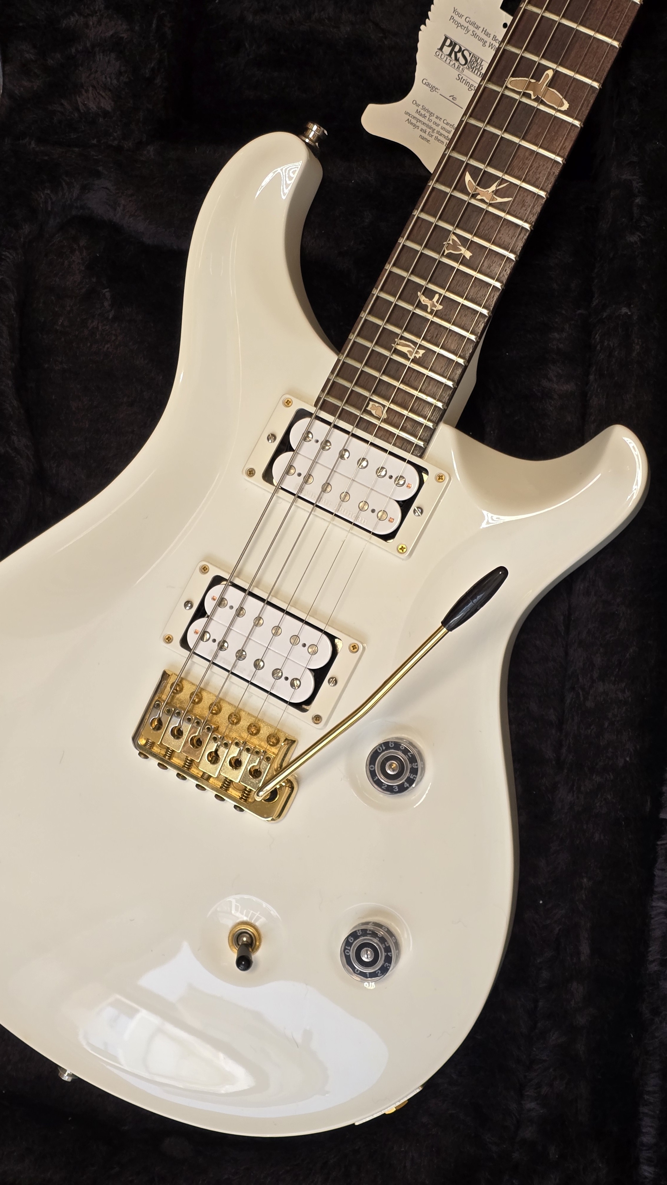 PRS Dave Navarro Model (24668)