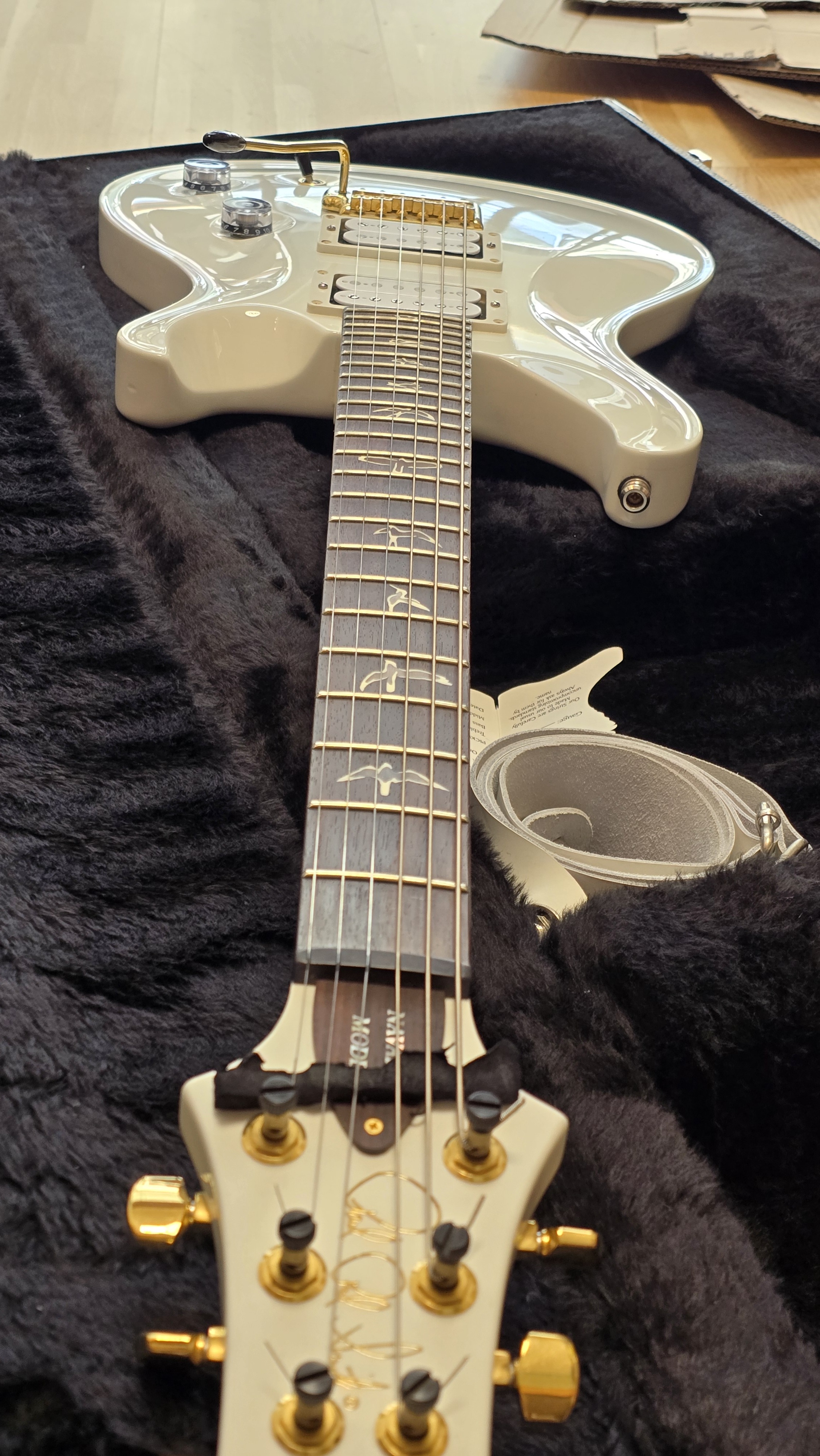 PRS Dave Navarro Model (94462)