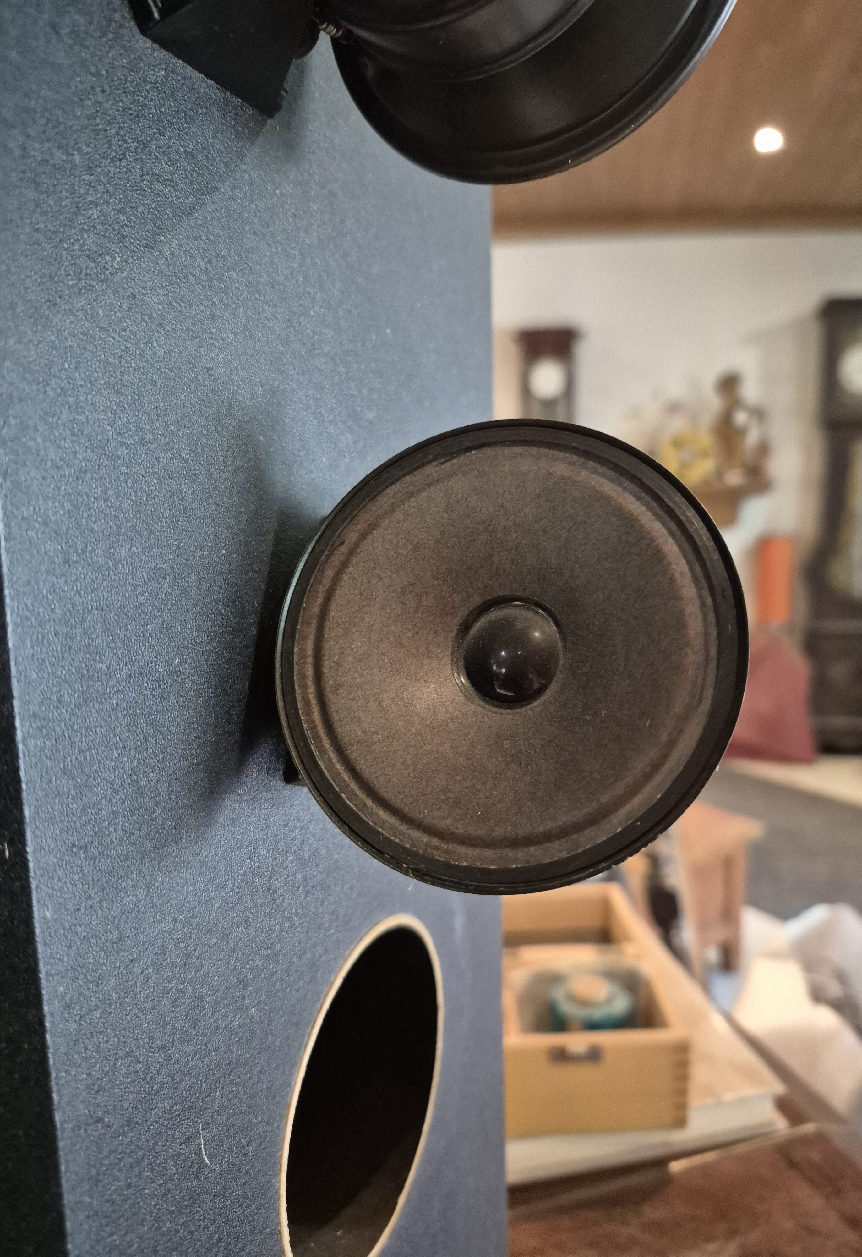 Bose 501 Serie III (63296)