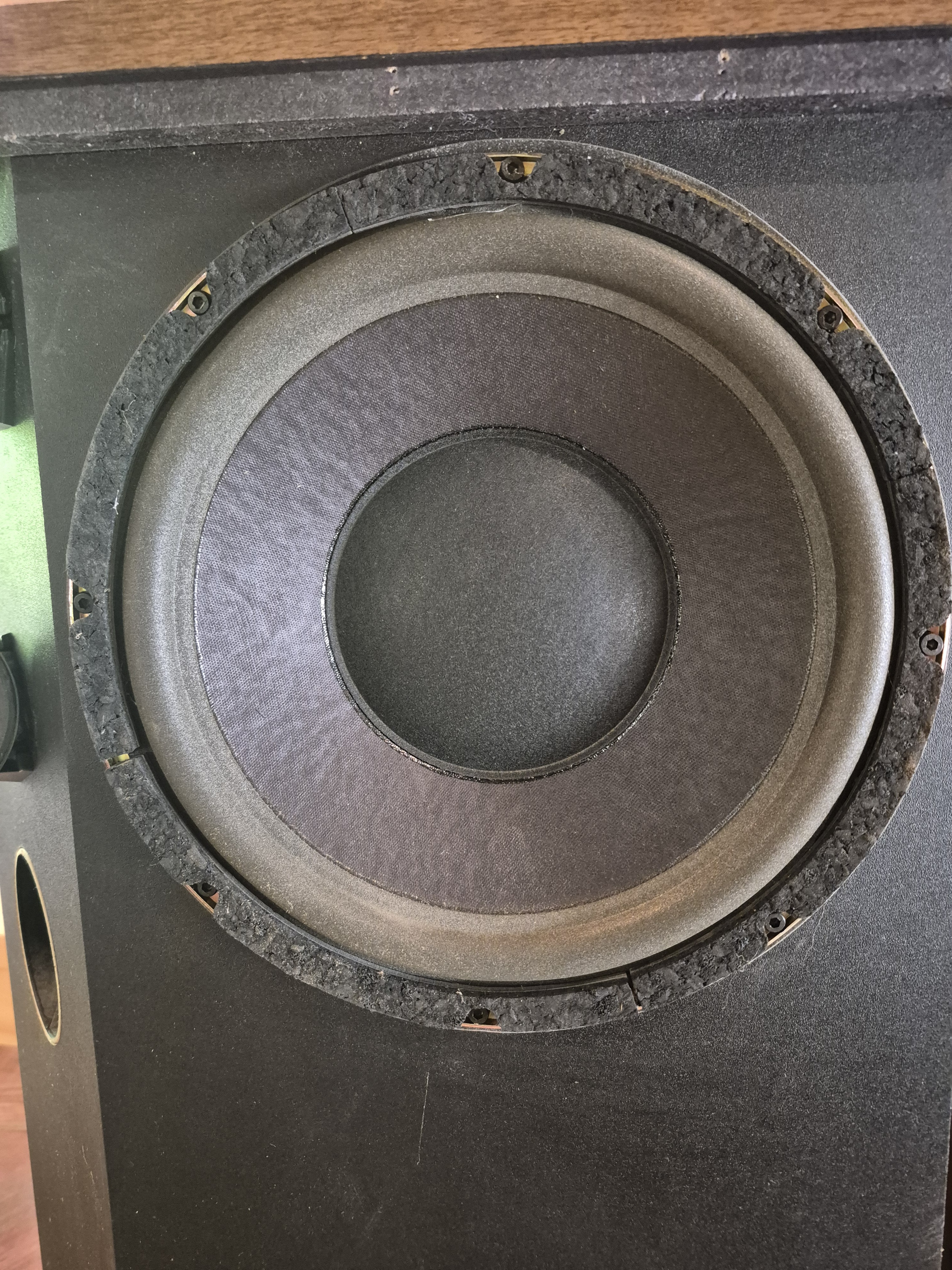 Bose 501 Serie III (76977)